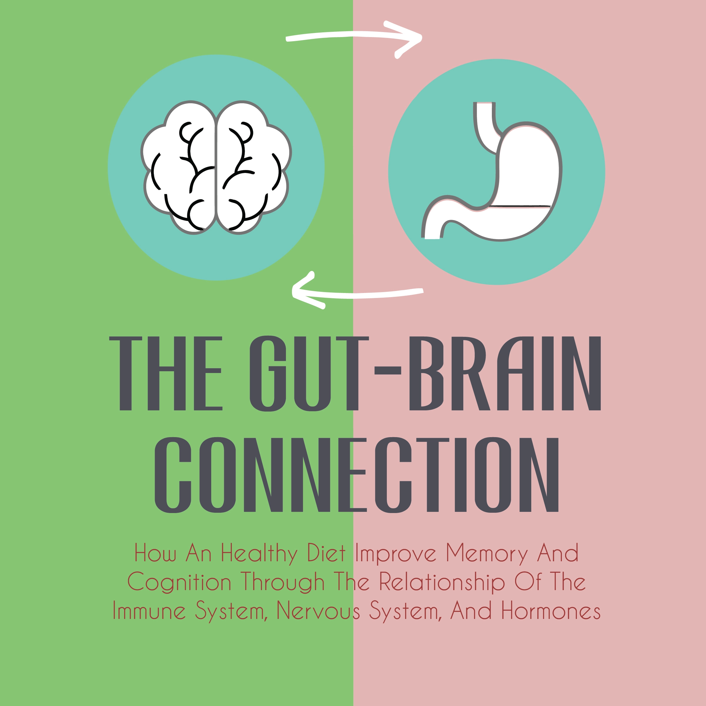 The Gut-Brain Connection Audiobook by Jim Colajuta