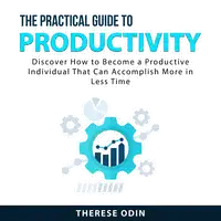 The Practical Guide to Productivity Audiobook by Therese Odin