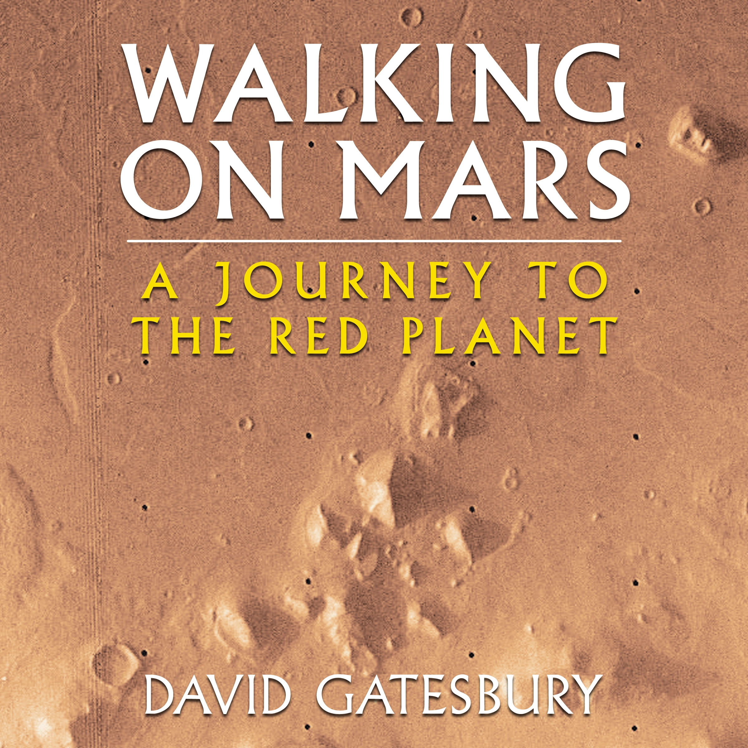 Walking on Mars by David Gatesbury