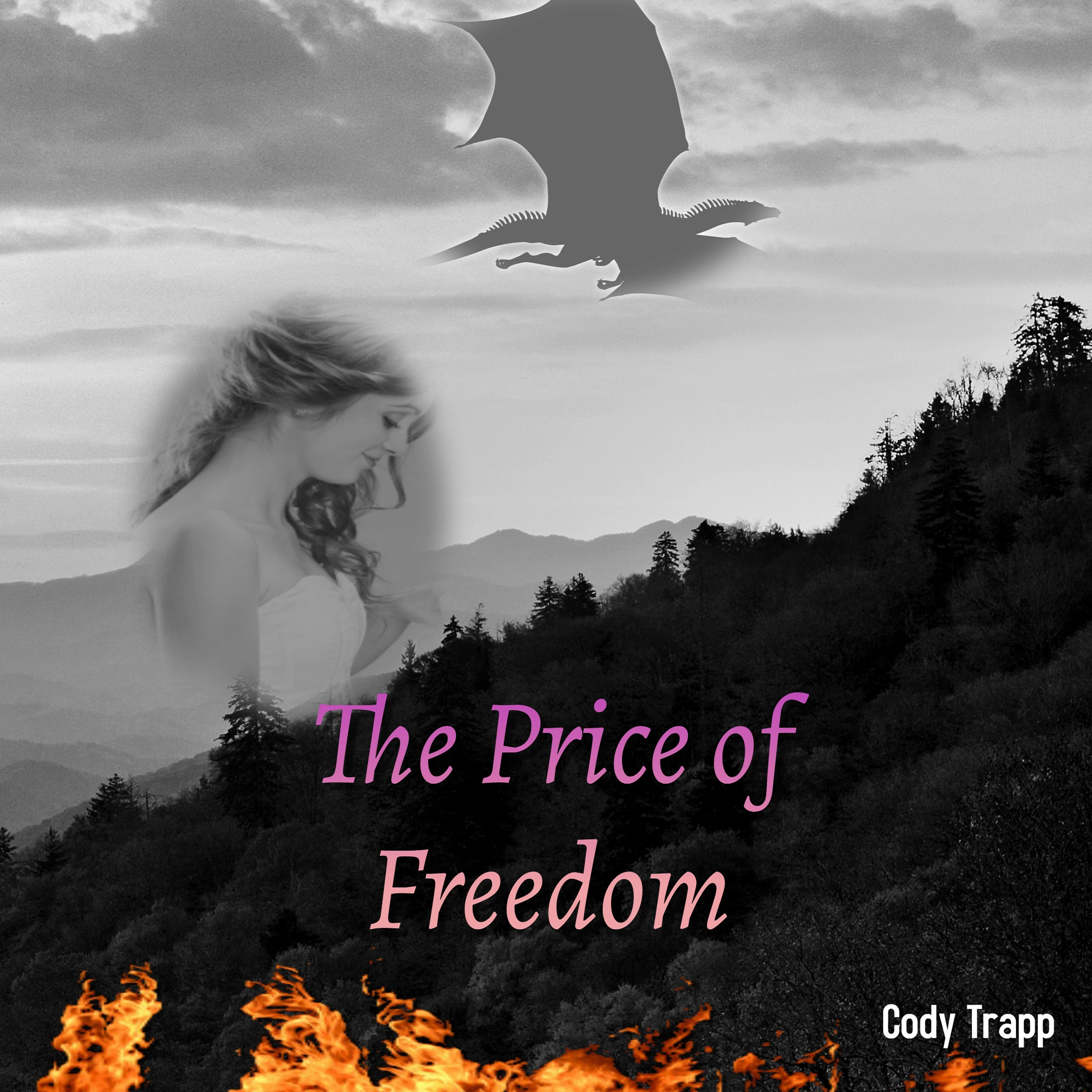 The Price of Freedom Audiobook by Cody Trapp