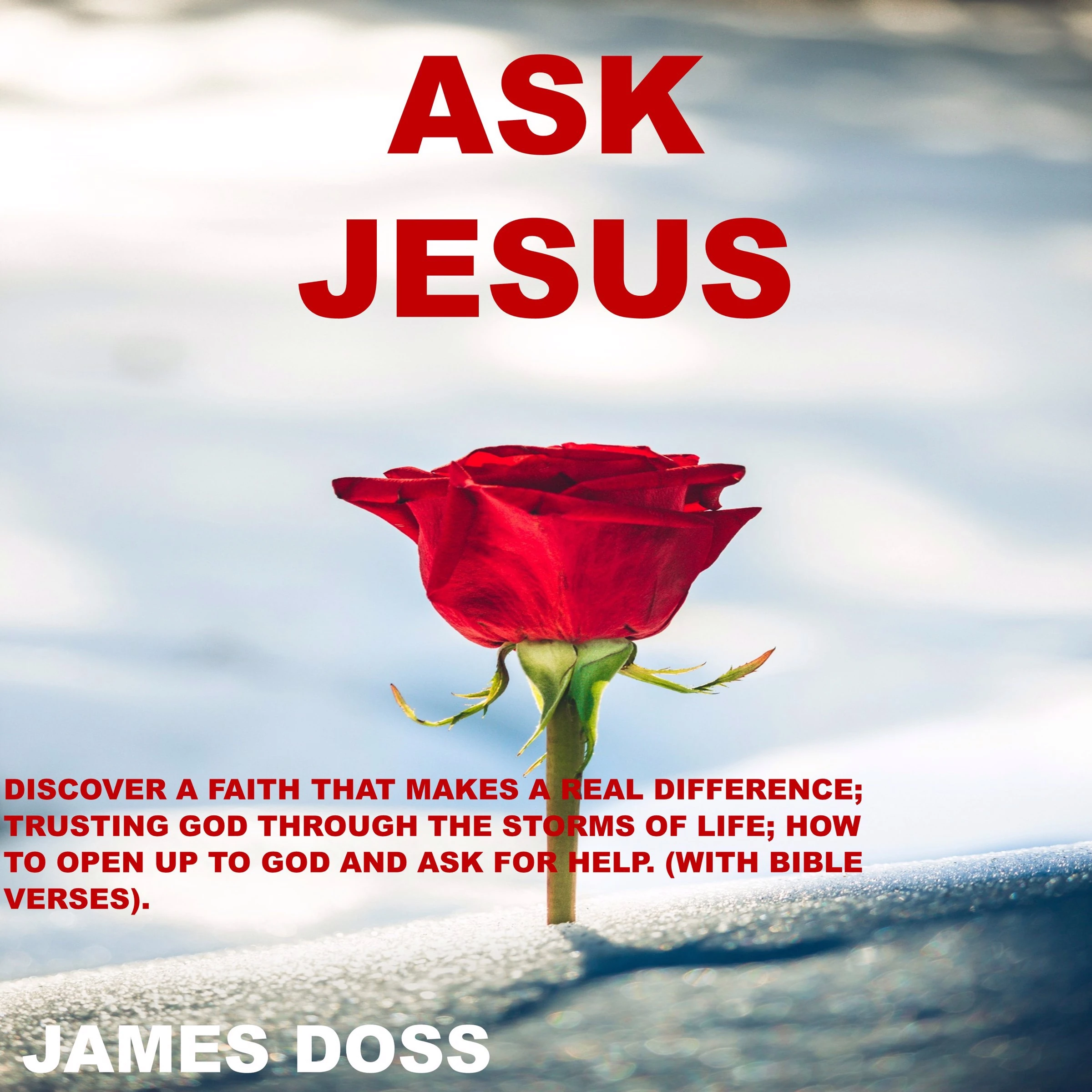 Ask Jesus by James Doss Audiobook