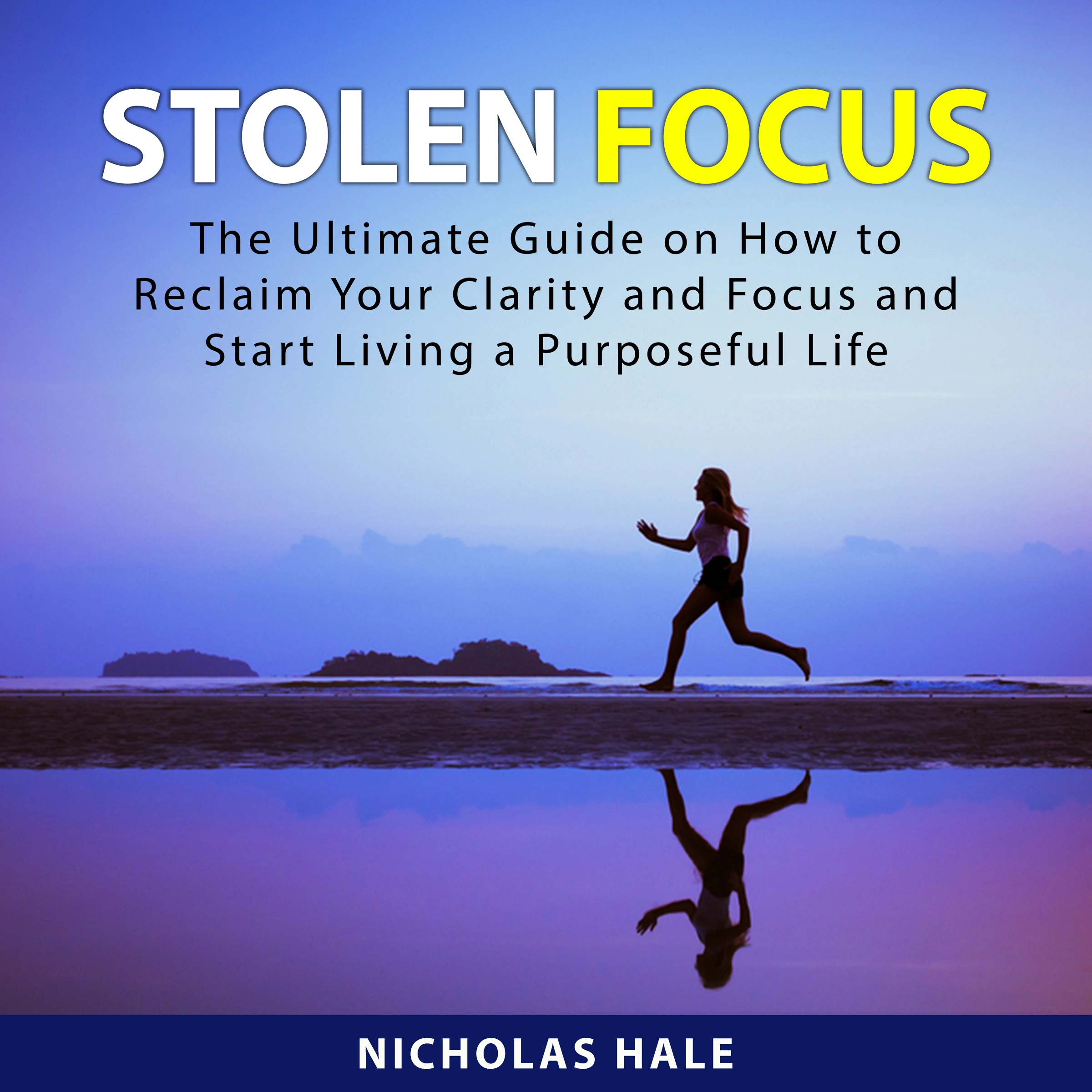 Stolen Focus by Nicholas Hale