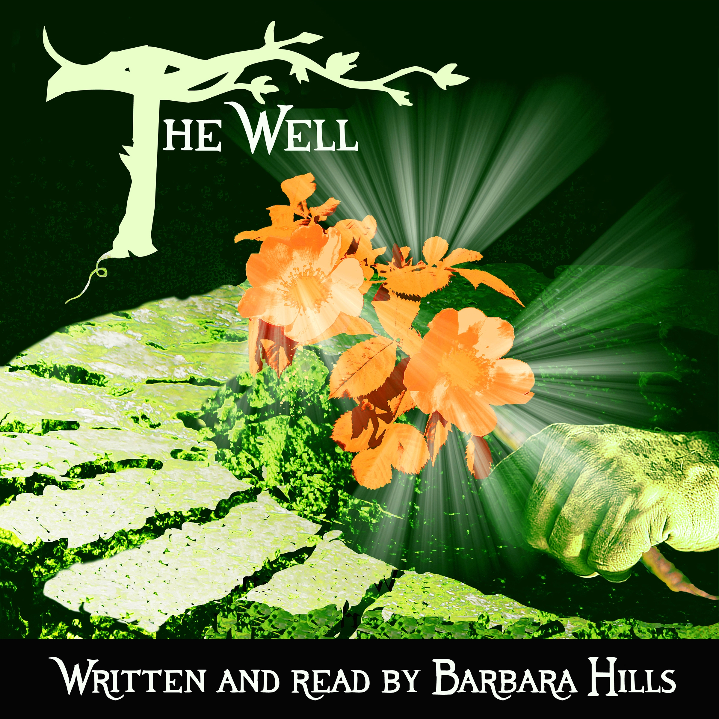 The Well by Barbara Hills