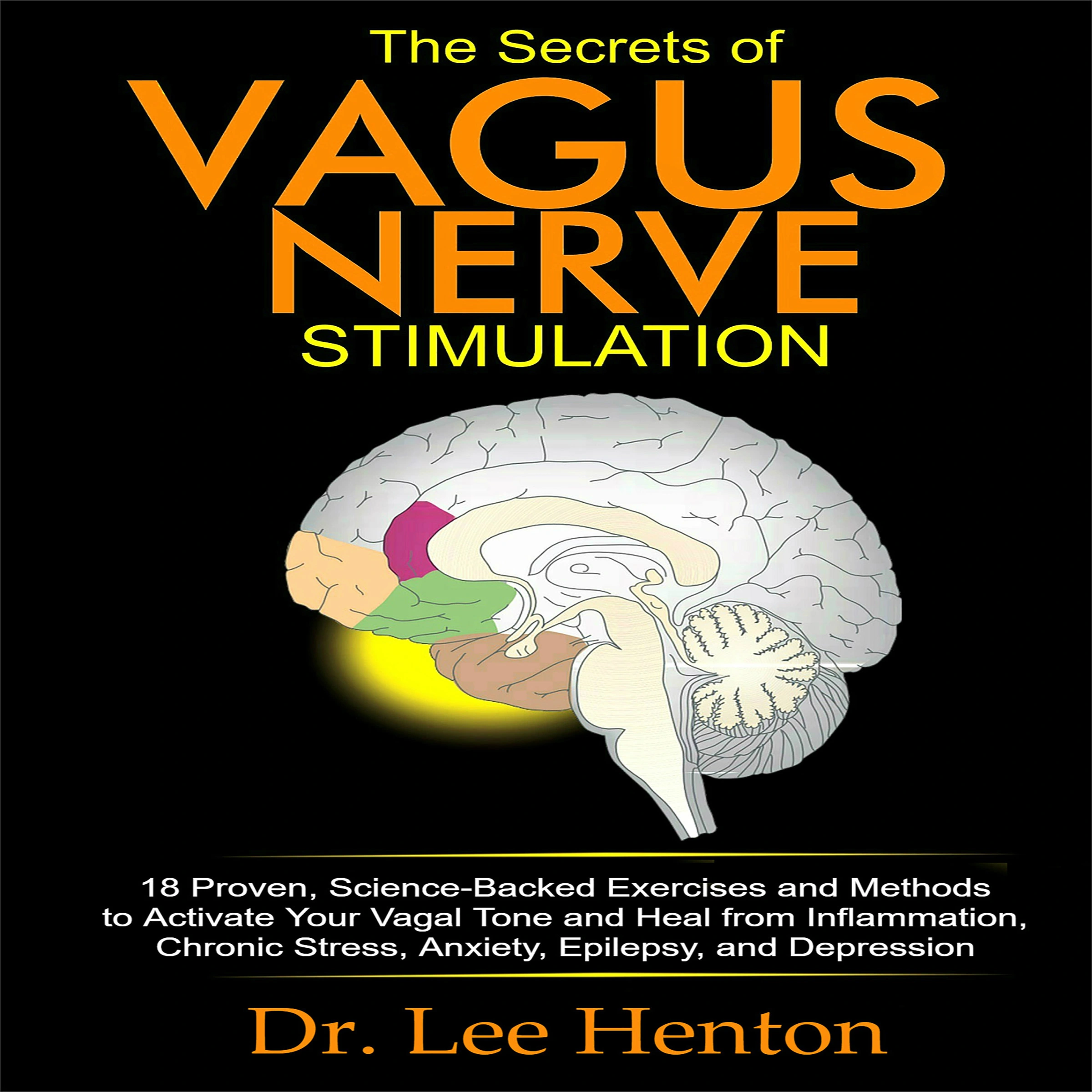 The Secrets of Vagus Nerve Stimulation Audiobook by Dr. Lee Henton