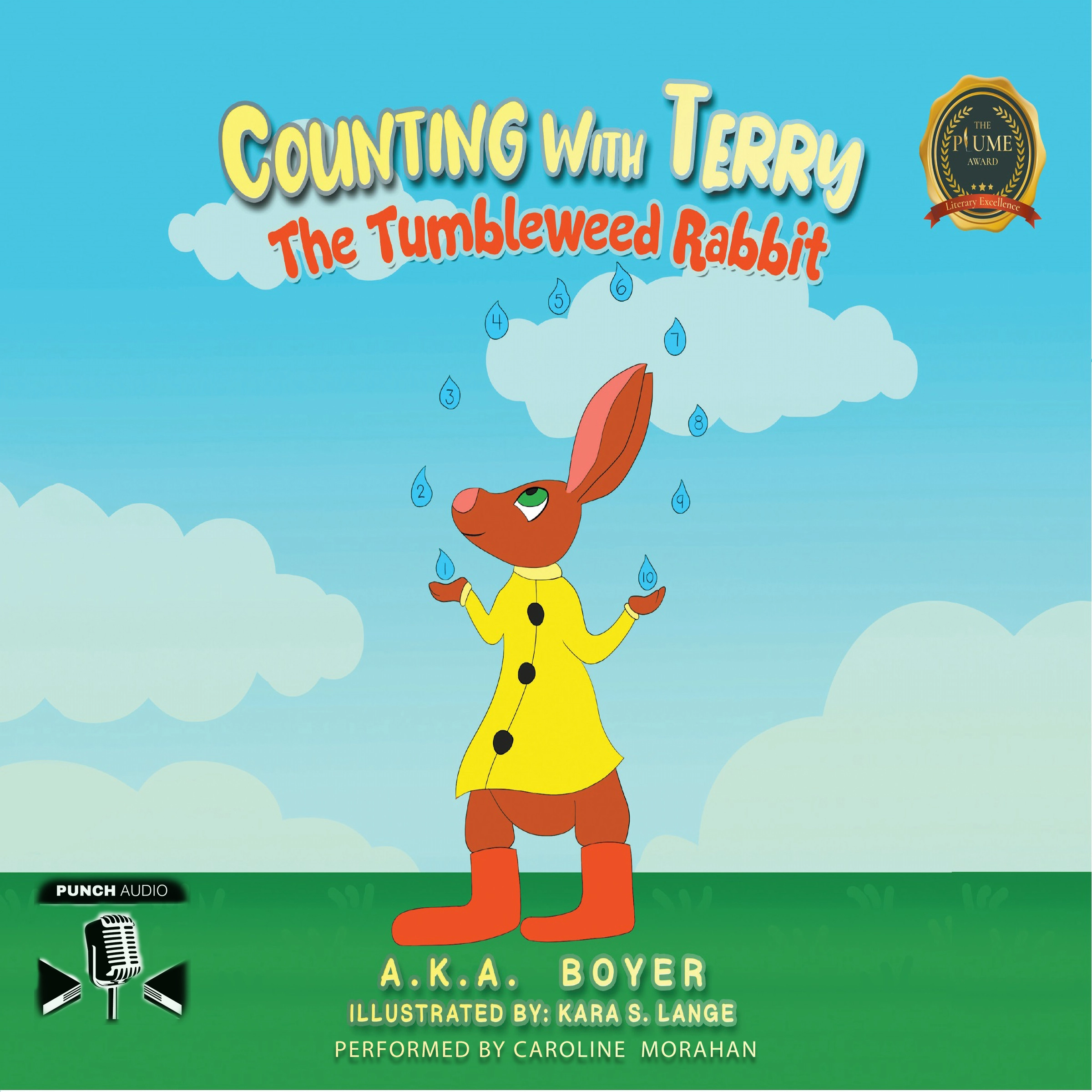 Counting With Terry by A.K.A Boyer Audiobook