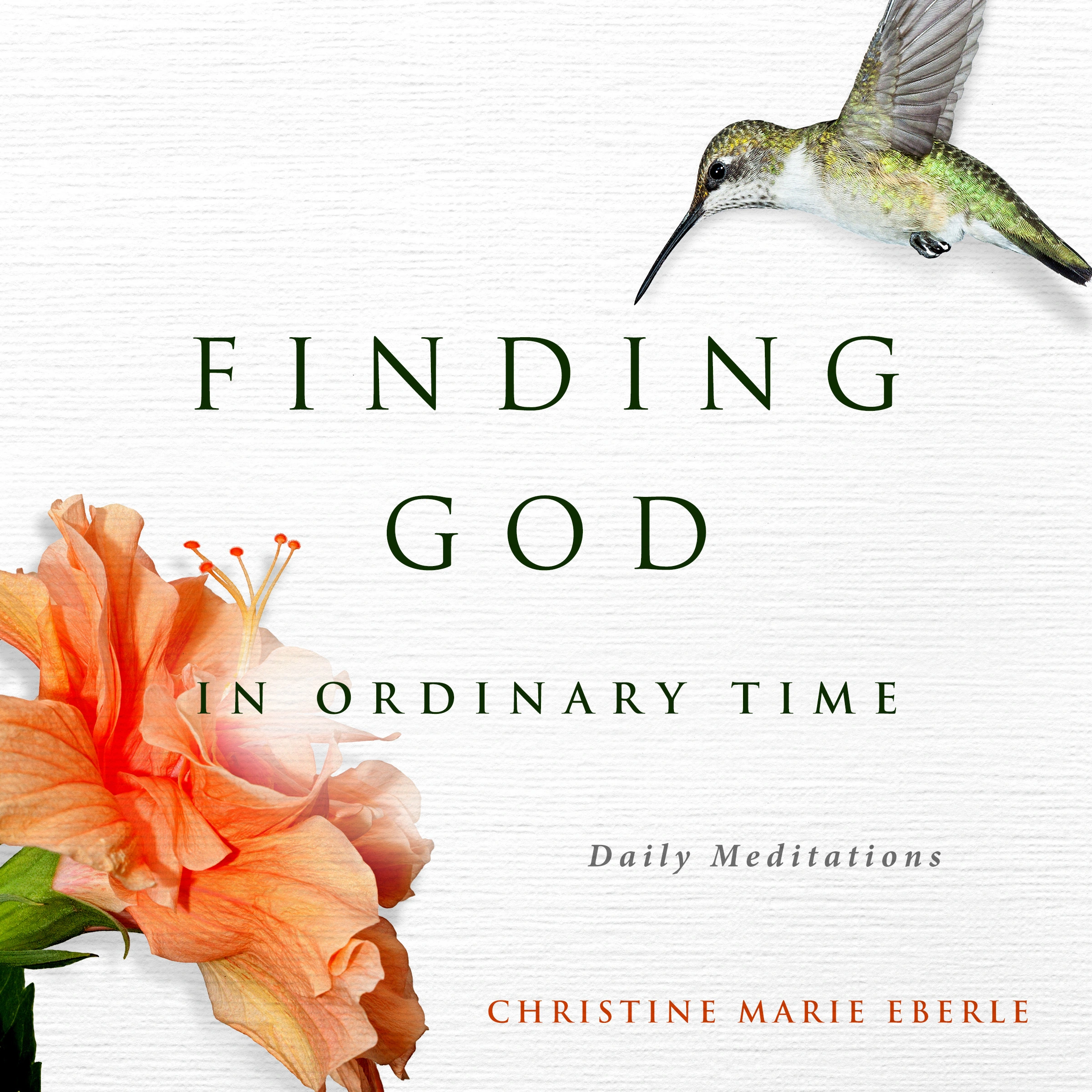 Finding God in Ordinary Time Audiobook by Christine Marie Eberle