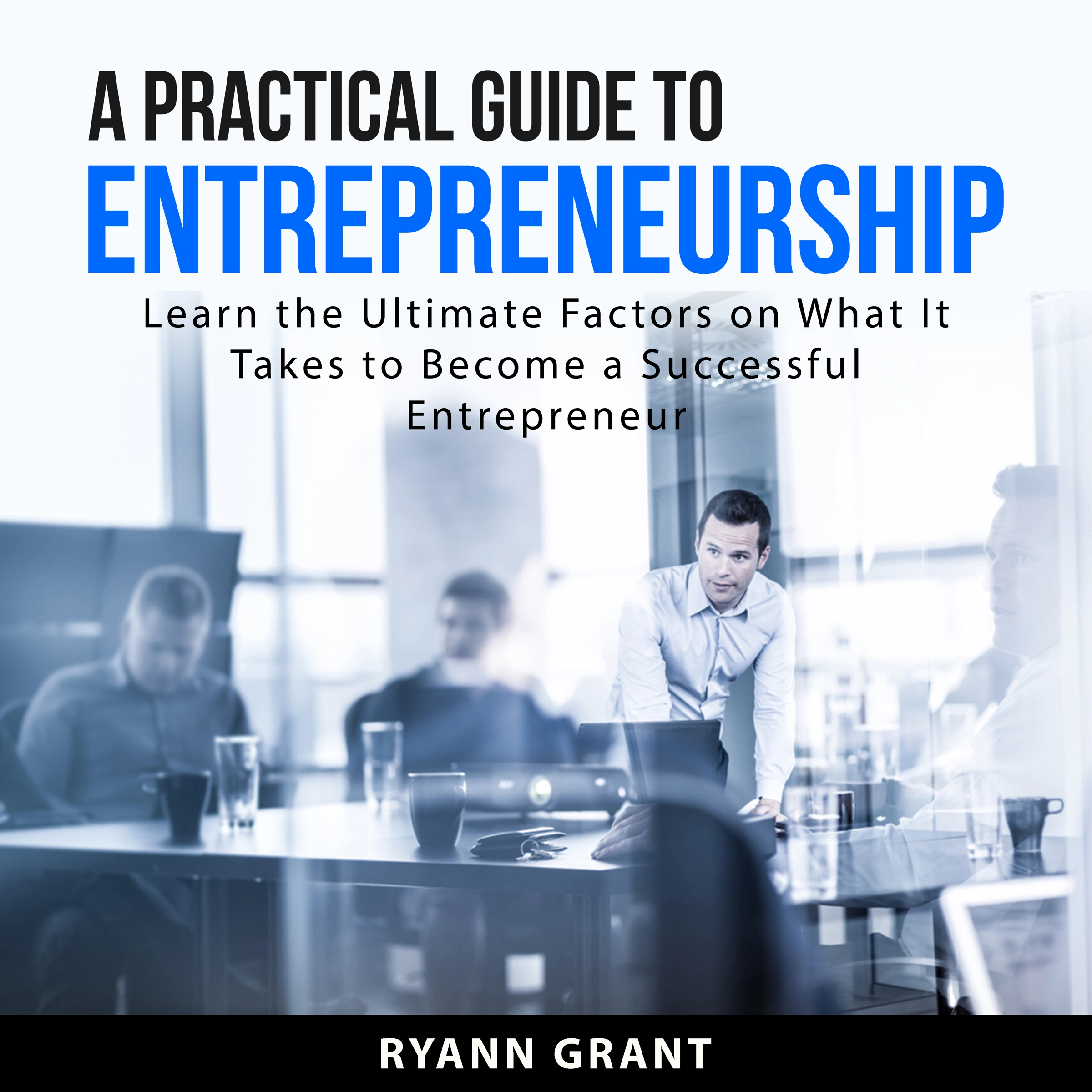 A Practical Guide to Entrepreneurship by Ryann Grant Audiobook