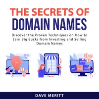 The Secrets of Domain Names Audiobook by Dave Meritt