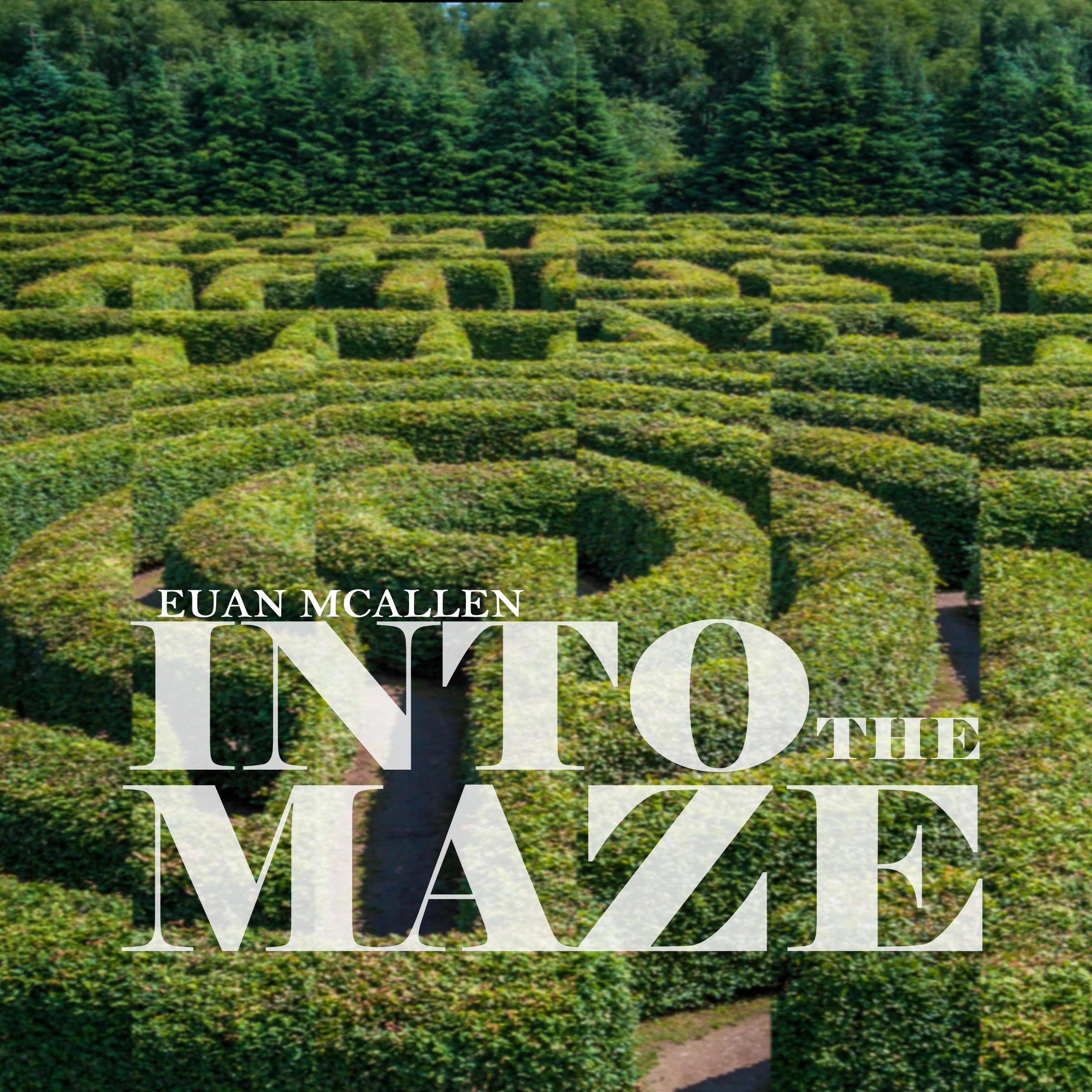 Into the Maze by Euan McAllen