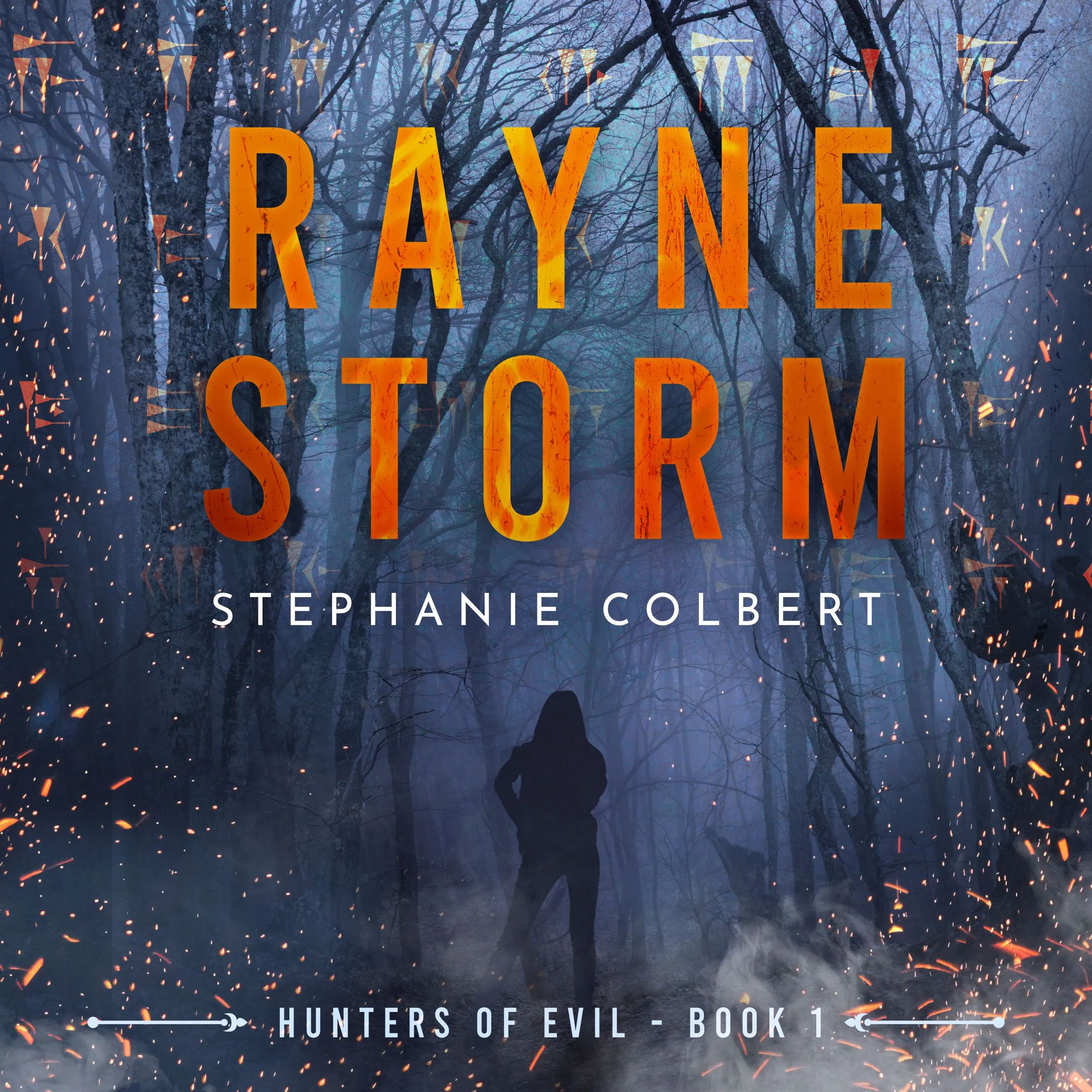 Rayne Storm Audiobook by Stephanie Colbert