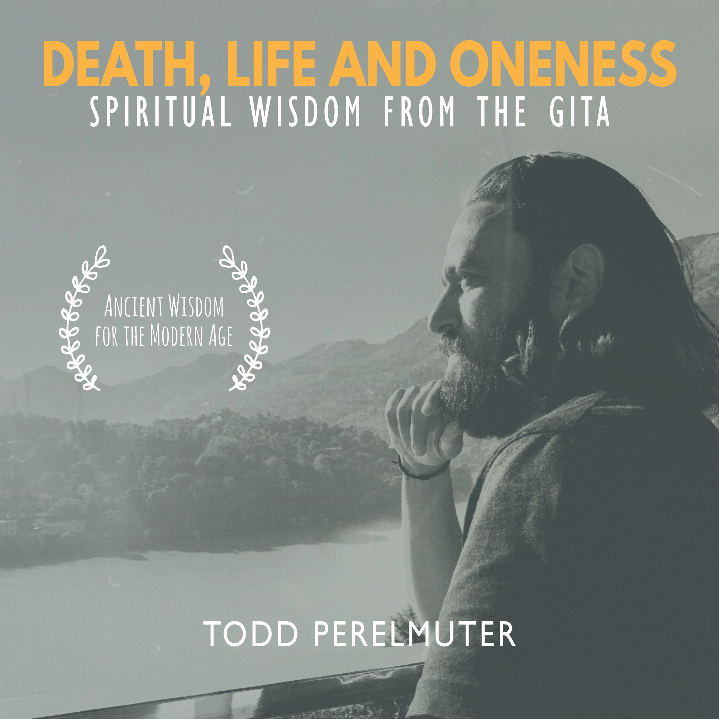 Death, Life and Oneness; Spiritual Wisdom From the Gita Audiobook by Todd Perelmuter