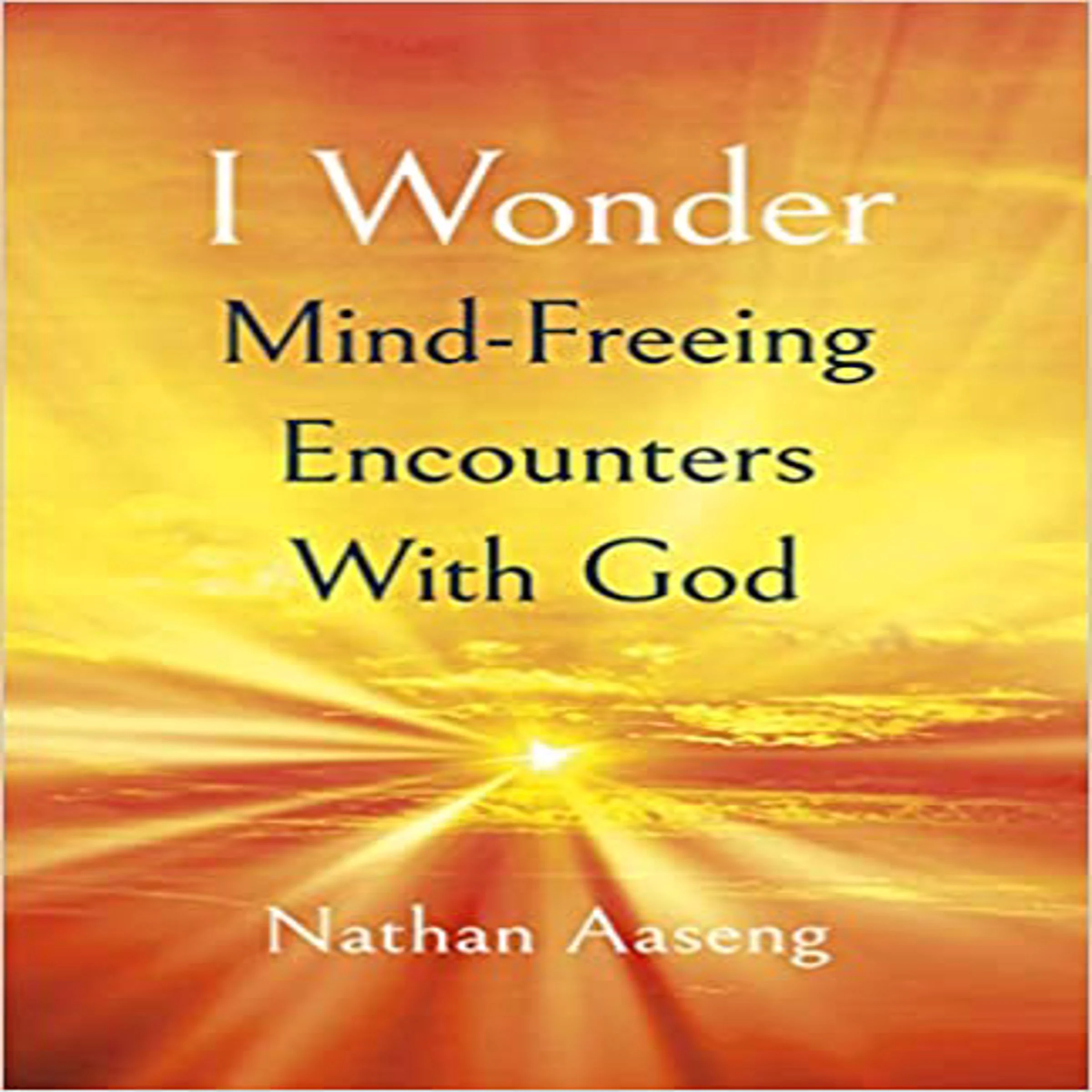 I Wonder by Nathan Aaseng