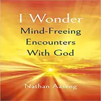 I Wonder Audiobook by Nathan Aaseng