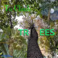 To Climb Trees Audiobook by Mike Blake