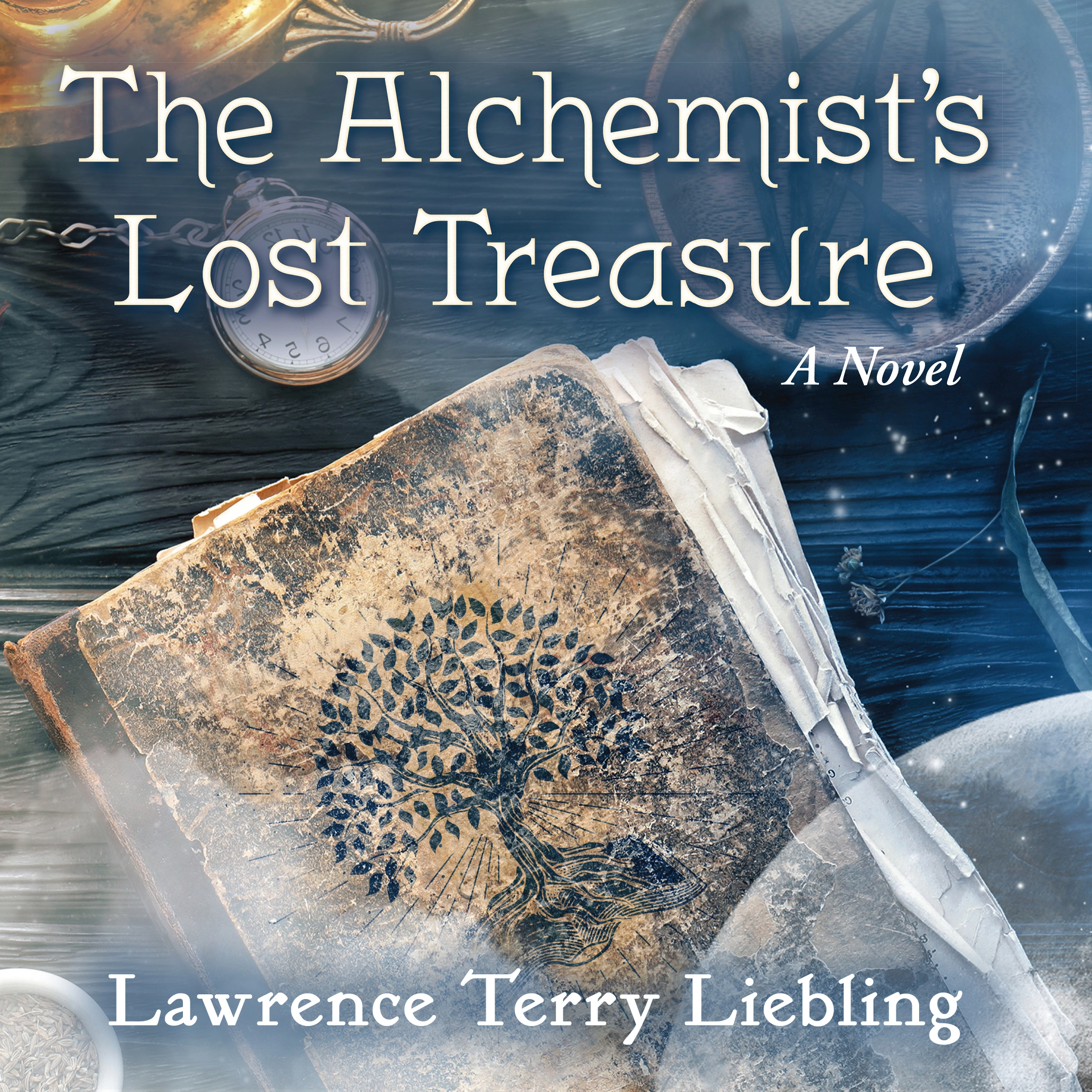 The Alchemist's Lost Treasure by Lawrence Terry Liebling Audiobook