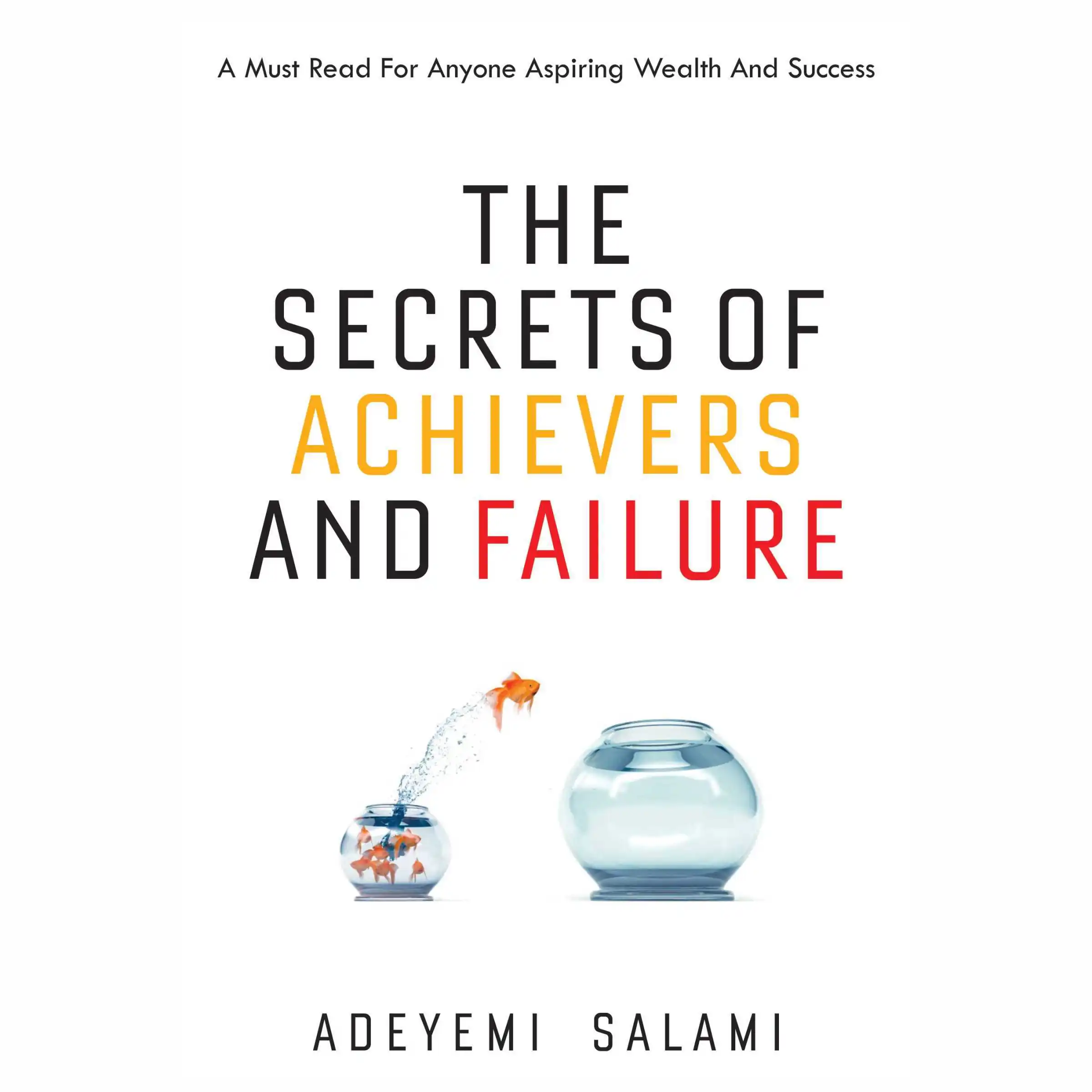 The Secrets of Achievers and Faliure by Adeyemi Salami Audiobook