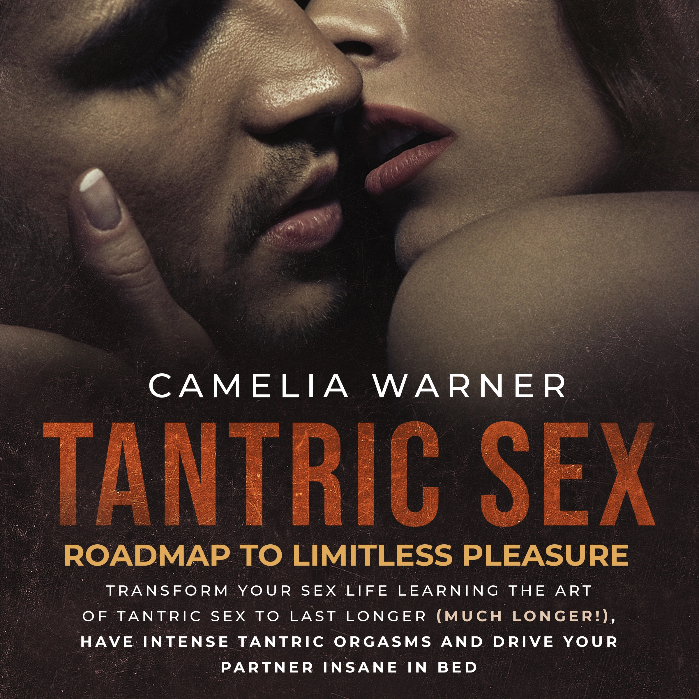 Tantric Sex: Roadmap to Limitless Pleasure Audiobook by Camelia Warner