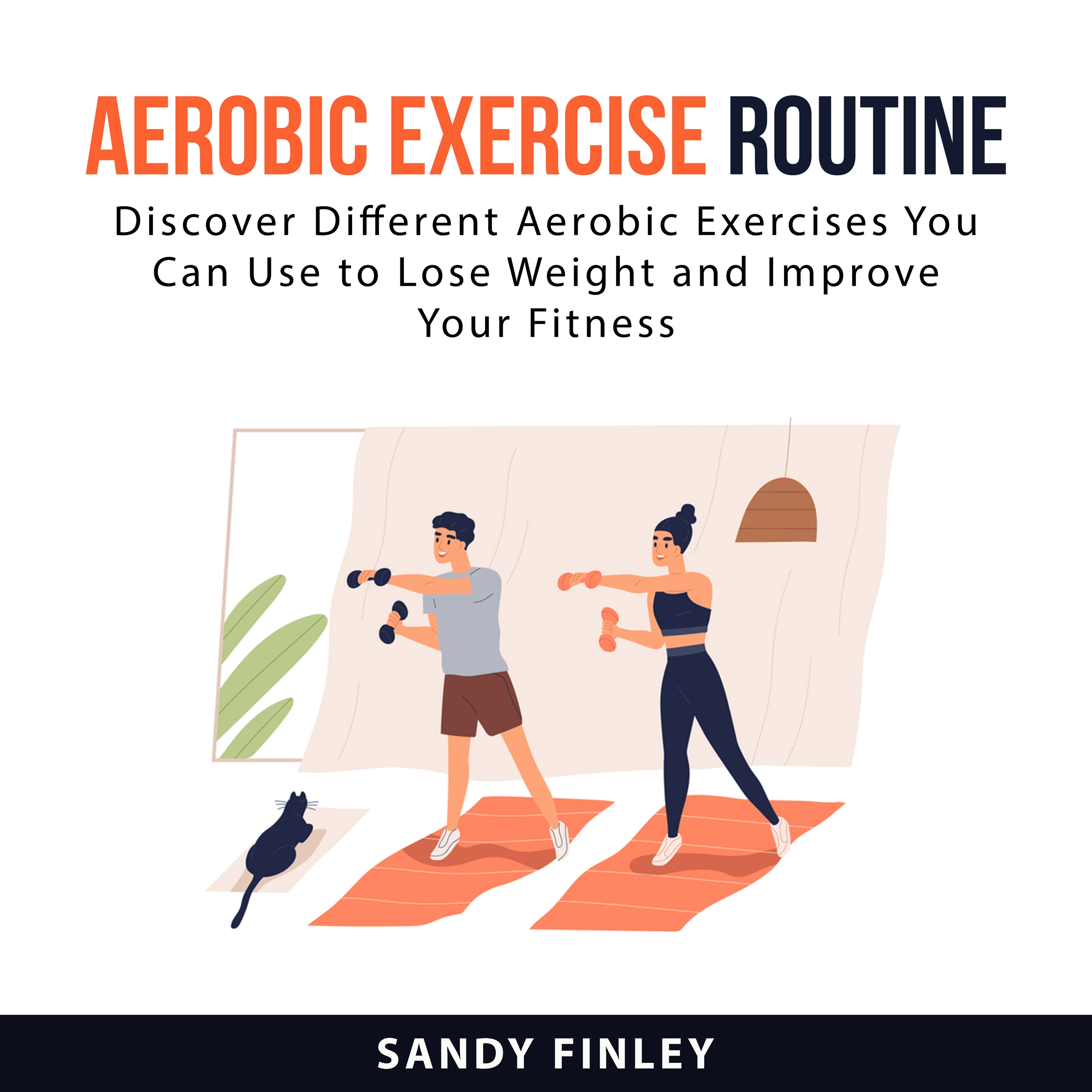 Aerobic Exercise Routine Audiobook by Sandy Finley