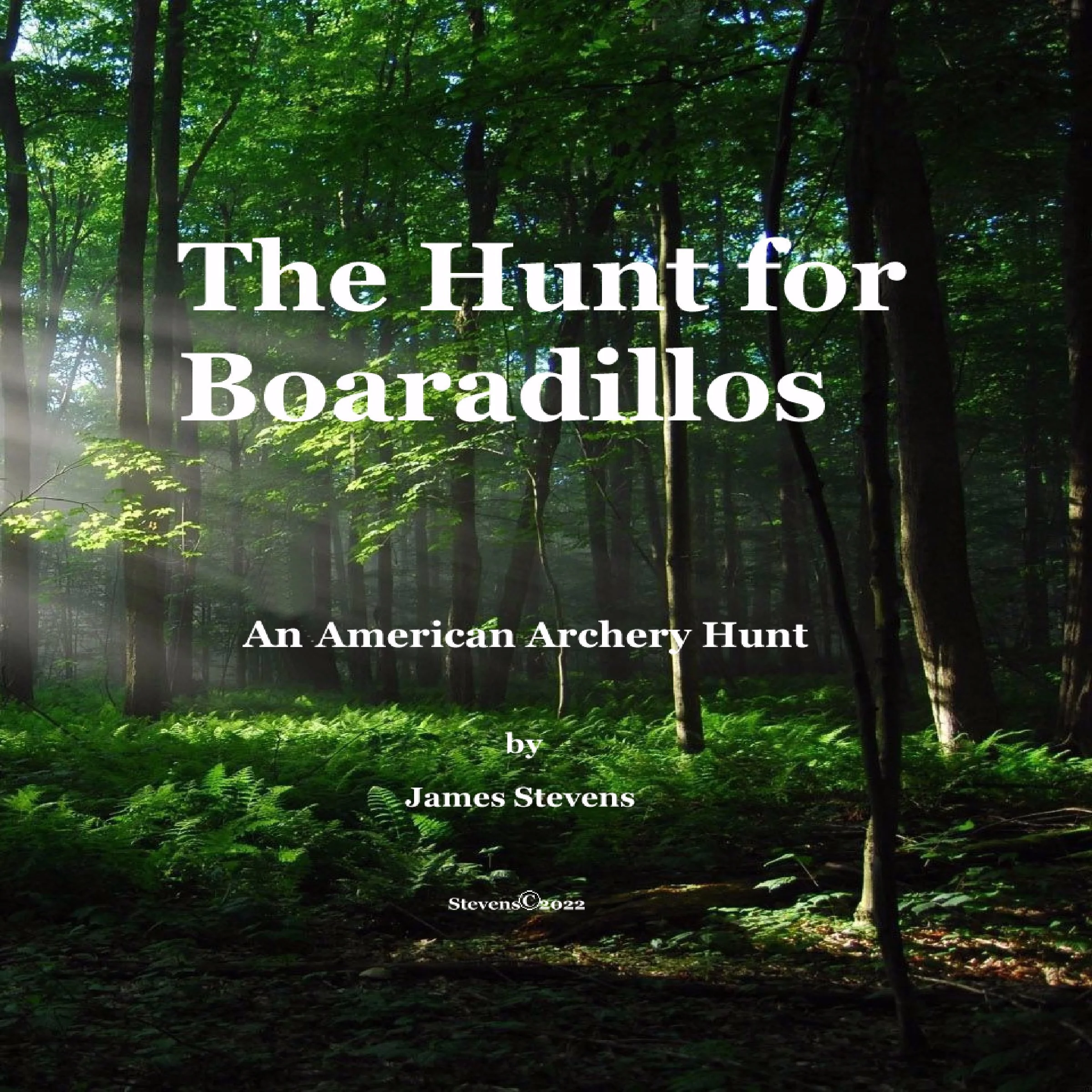 The Hunt for Boaradillos by James M Stevens Audiobook