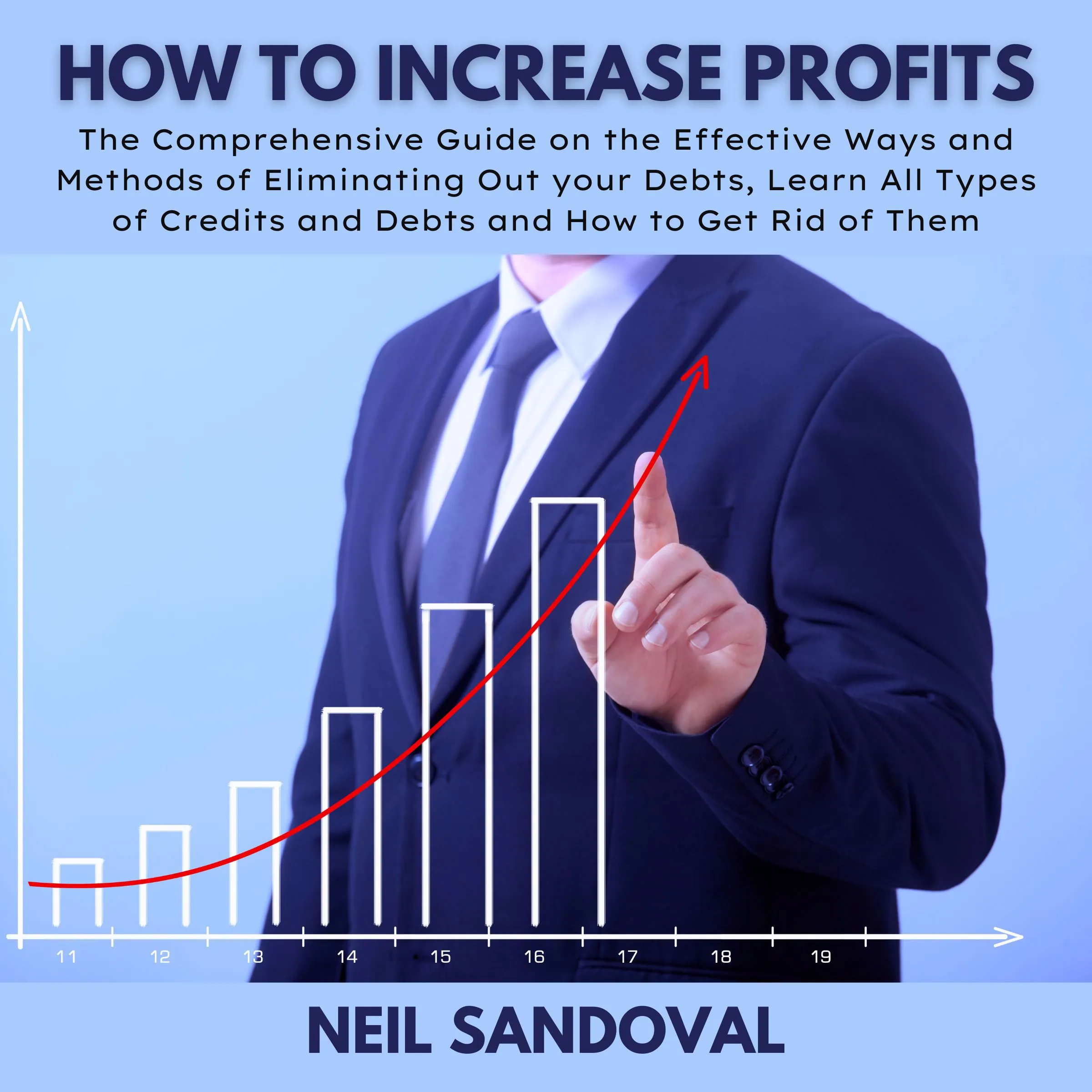 How To increase Profits by Neil Sandoval Audiobook