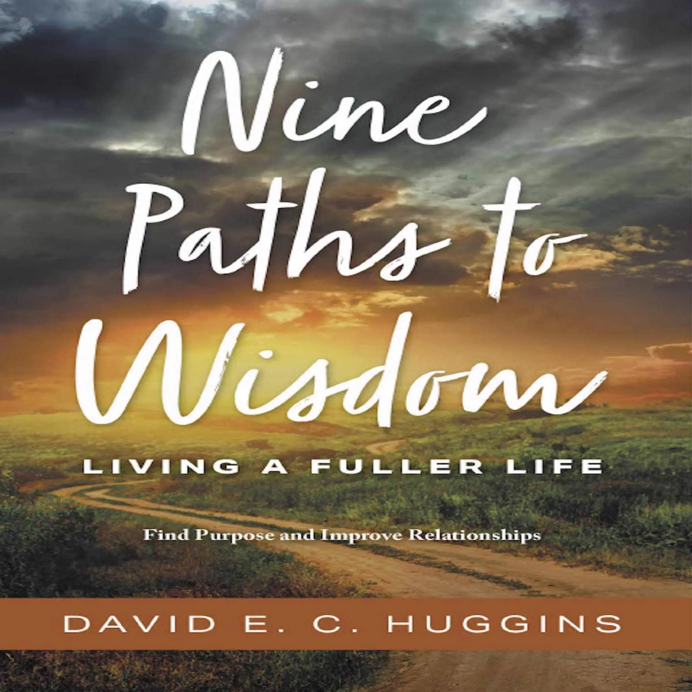 Nine Paths to Wisdom Audiobook by David E C Huggins