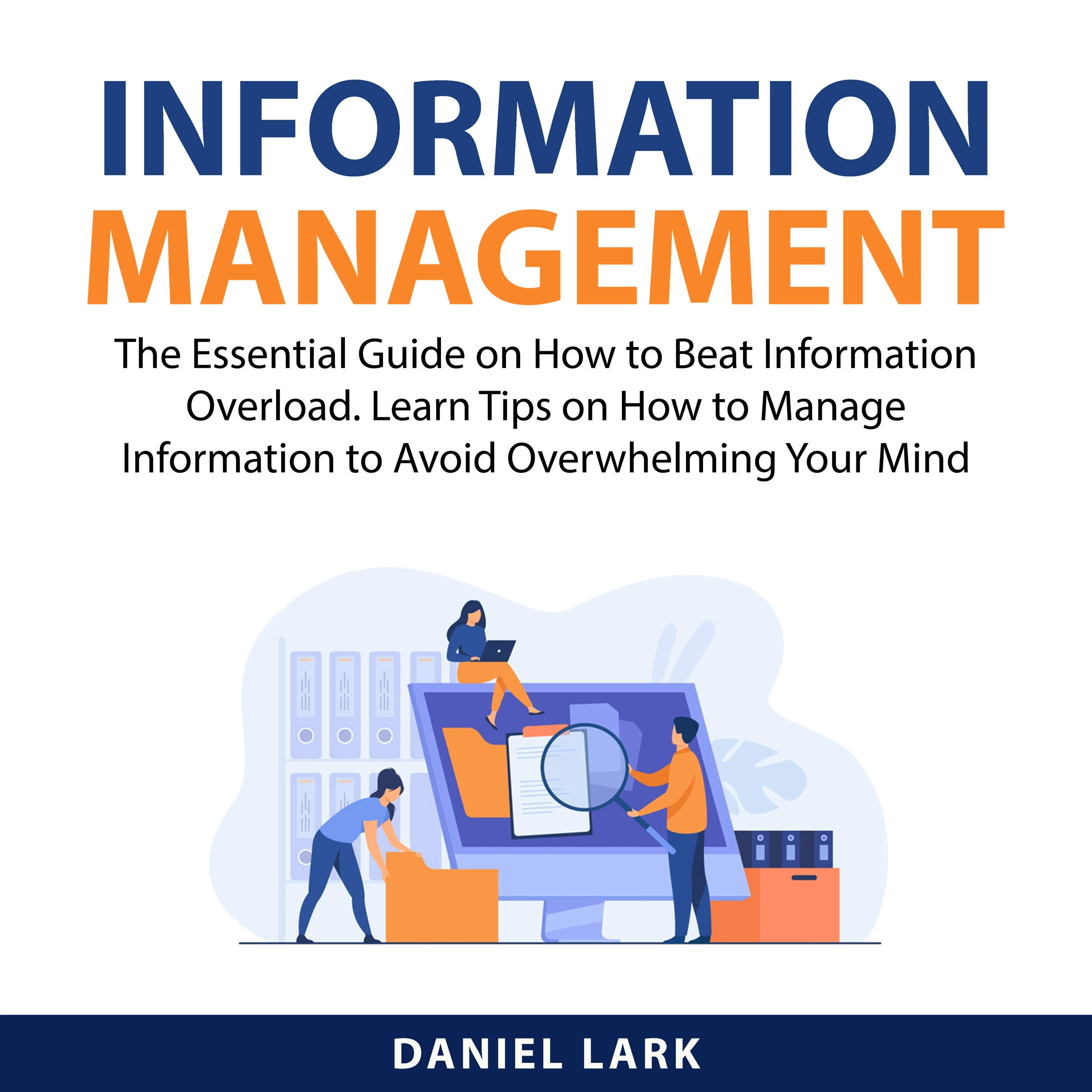 Information Management by Daniel Lark Audiobook