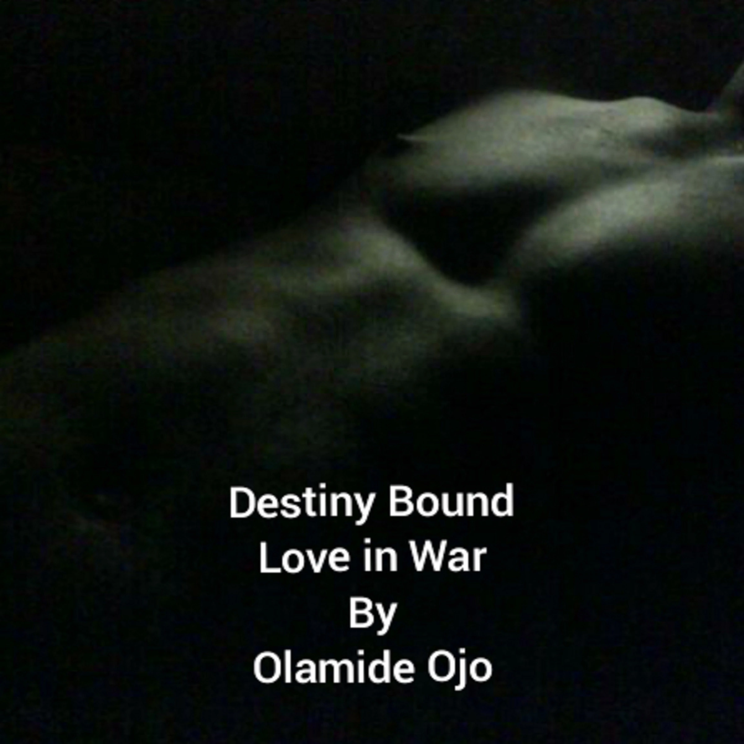 Destiny Bound by Olamide Ojo Audiobook