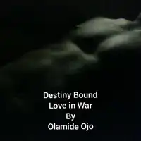 Destiny Bound Audiobook by Olamide Ojo