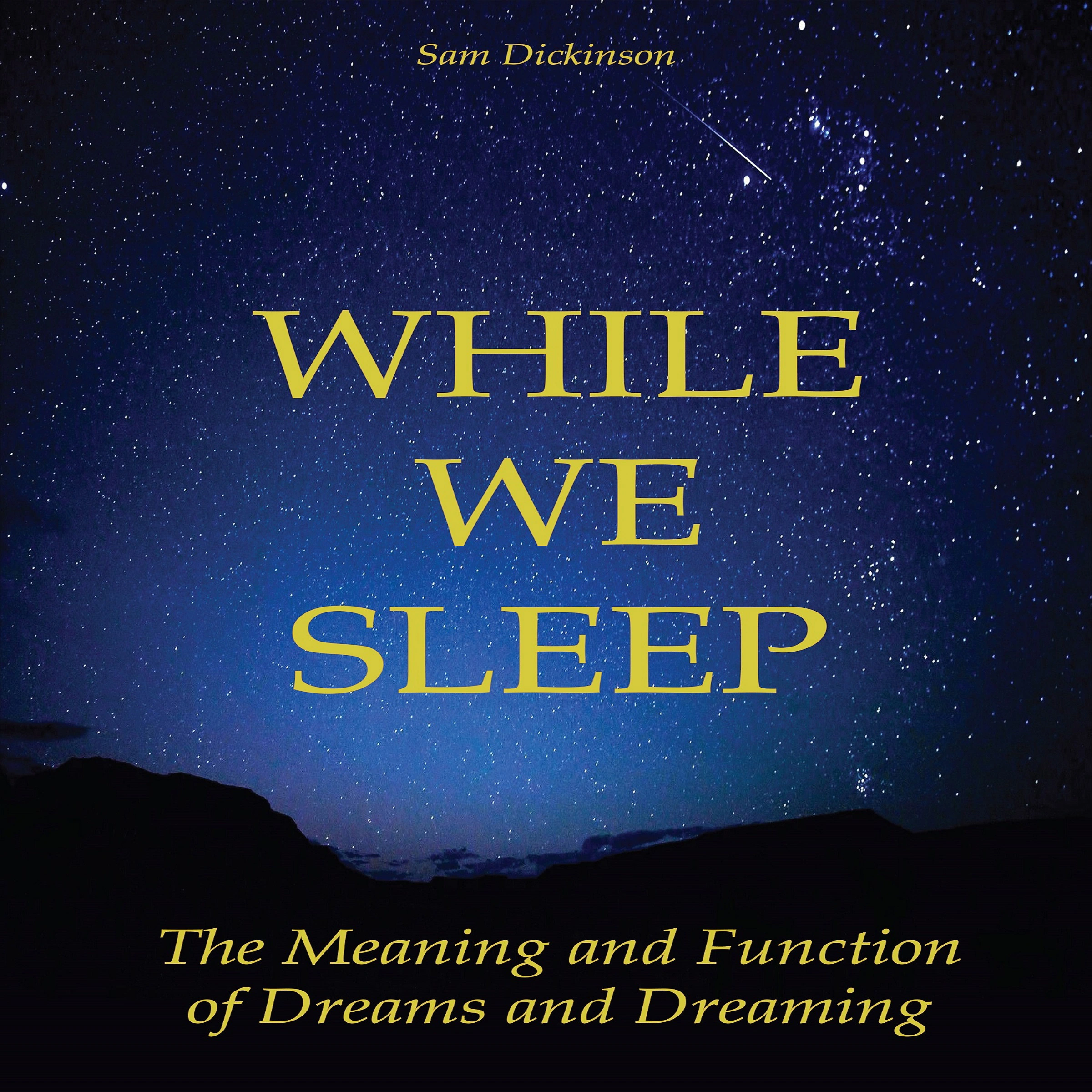 While we Sleep by Sam Dickinson Audiobook