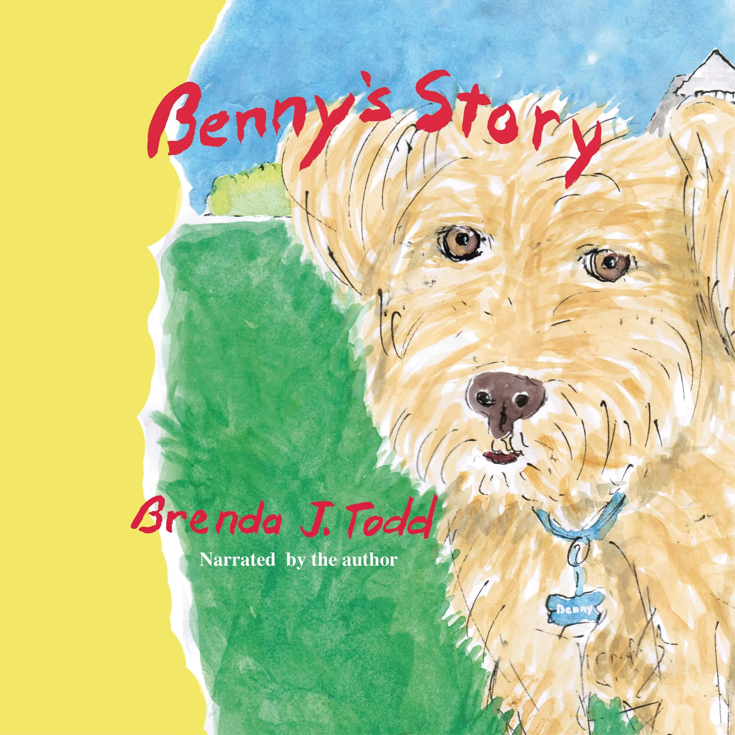 Benny's Story Audiobook by Brenda J. Todd