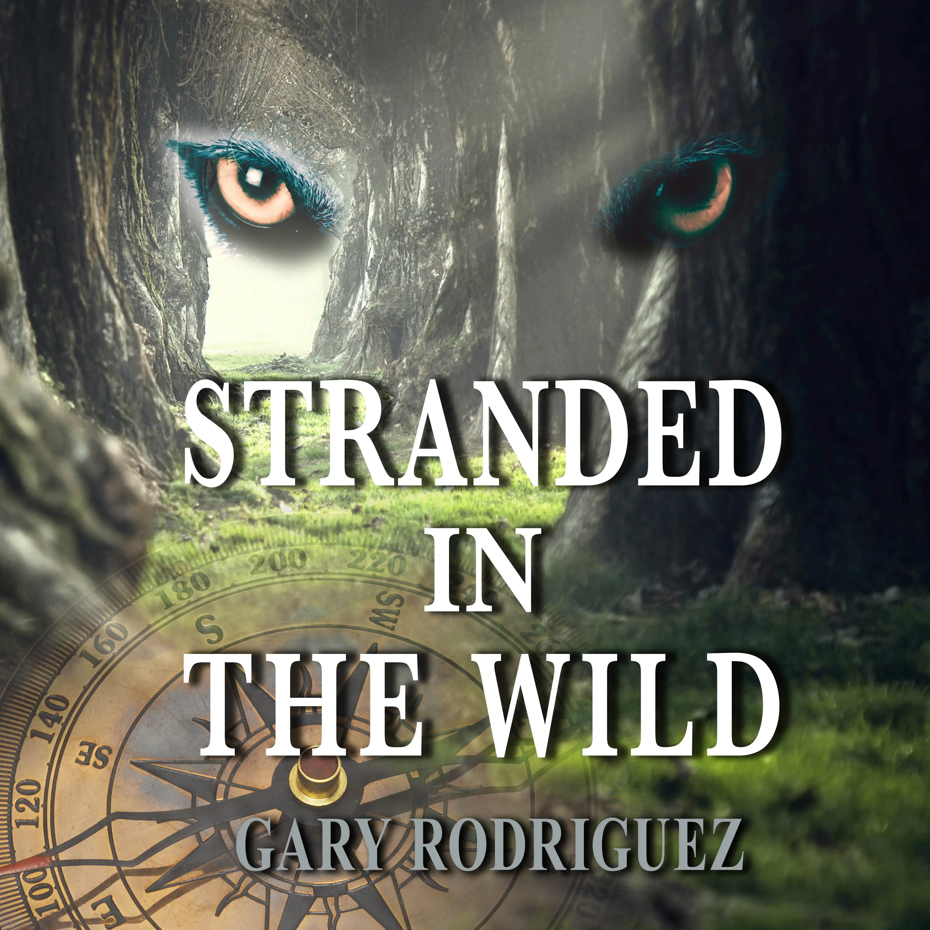 Stranded In The Wild by Gary Rodriguez Audiobook