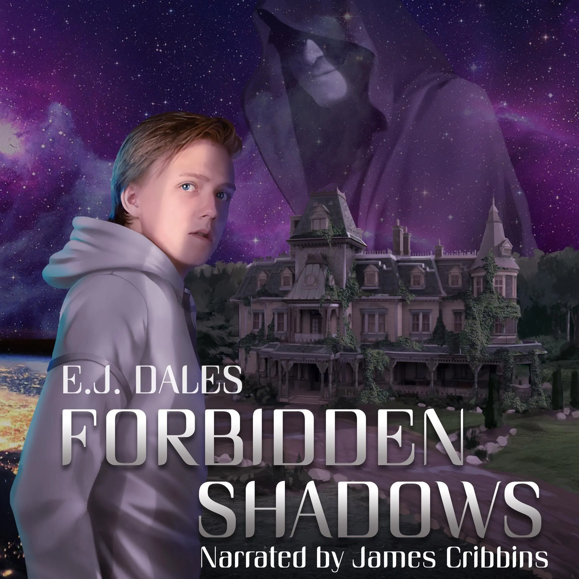 Forbidden Shadows by E.J. Dales