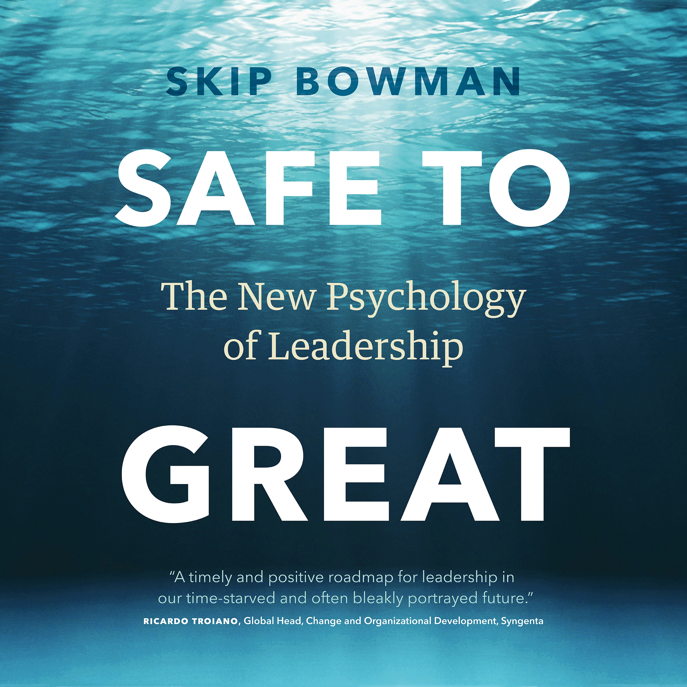 Safe to Great by Skip Bowman Audiobook