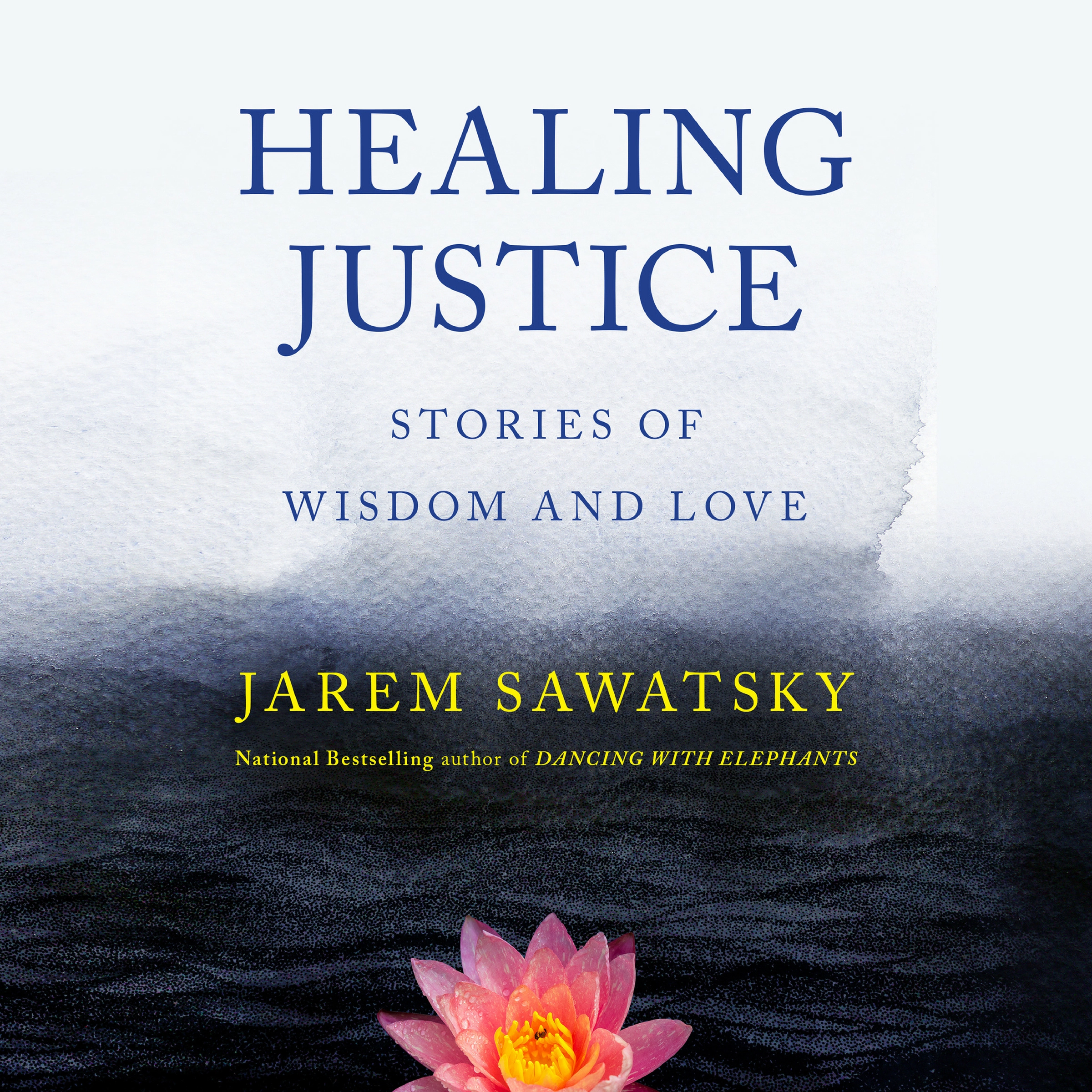 Healing Justice: Stories of Wisdom and Love by Jarem Sawatsky Audiobook