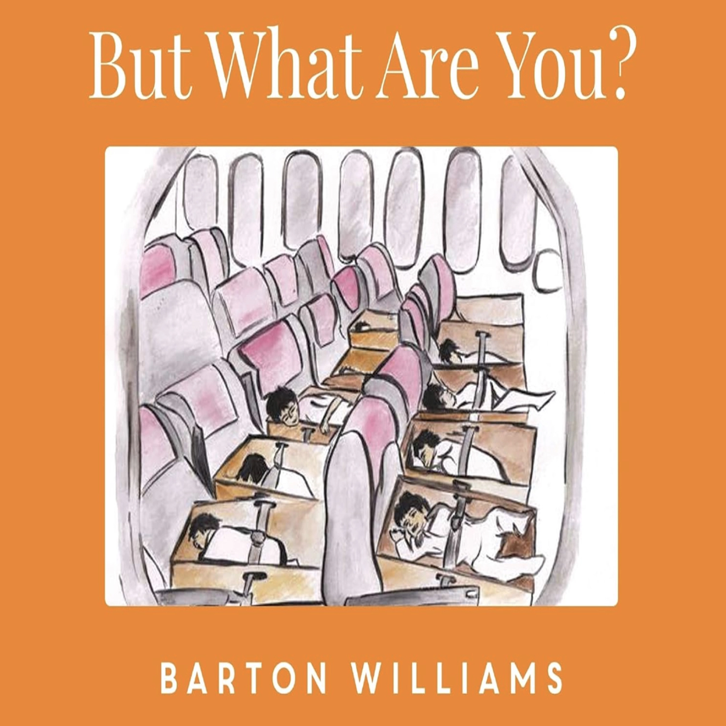 But What Are You? Audiobook by Barton Williams