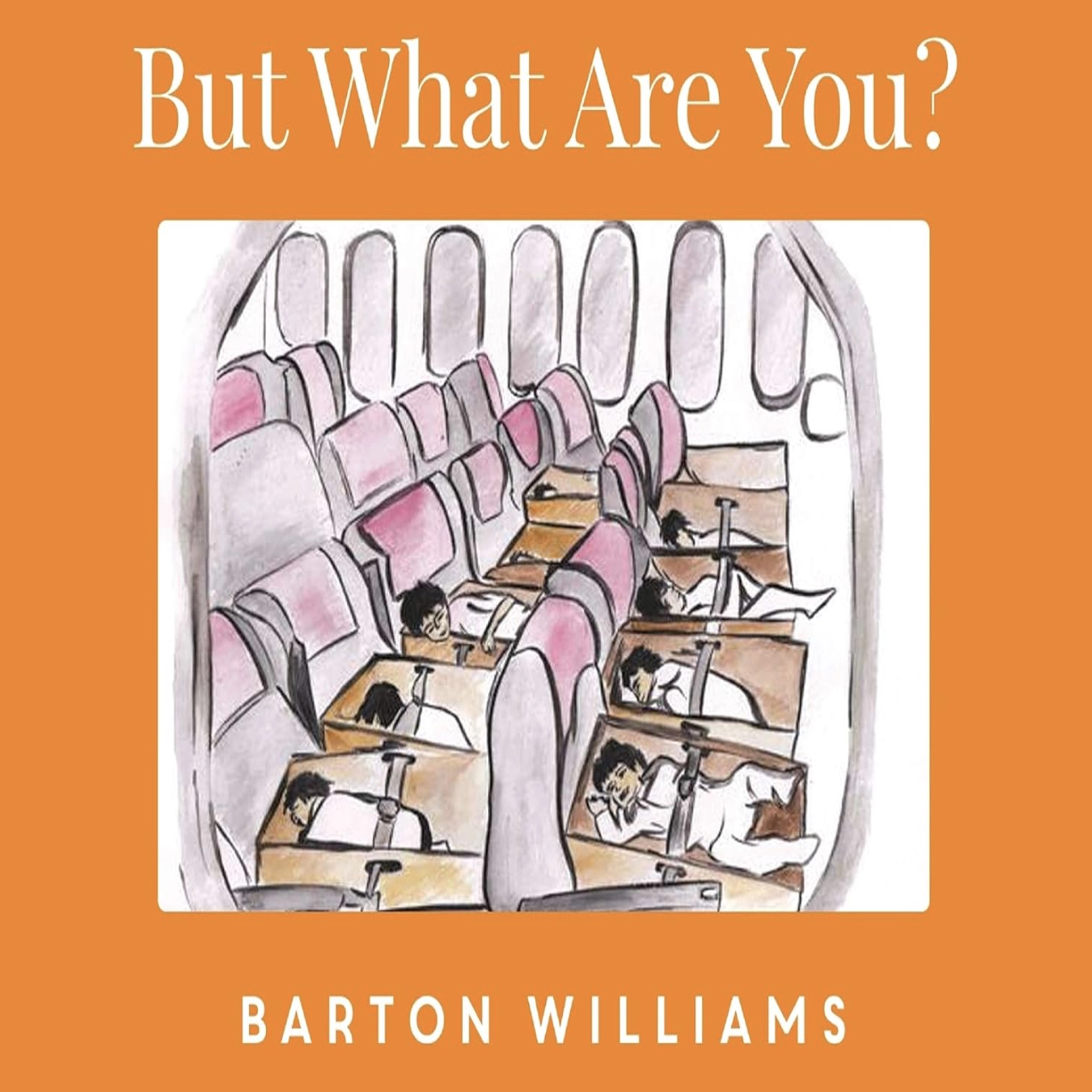 But What Are You? by Barton Williams Audiobook