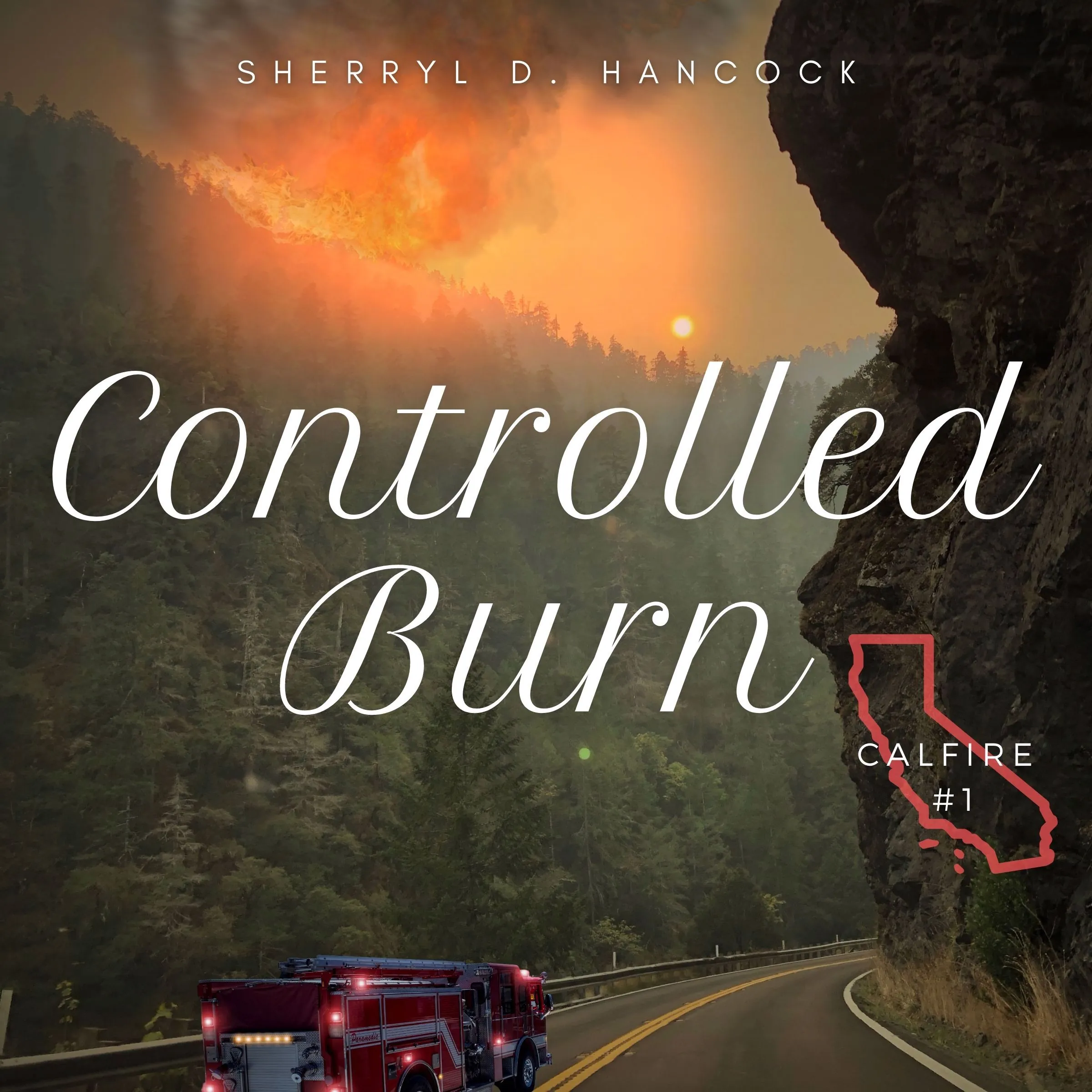 Controlled Burn by Sherryl D Hancock Audiobook