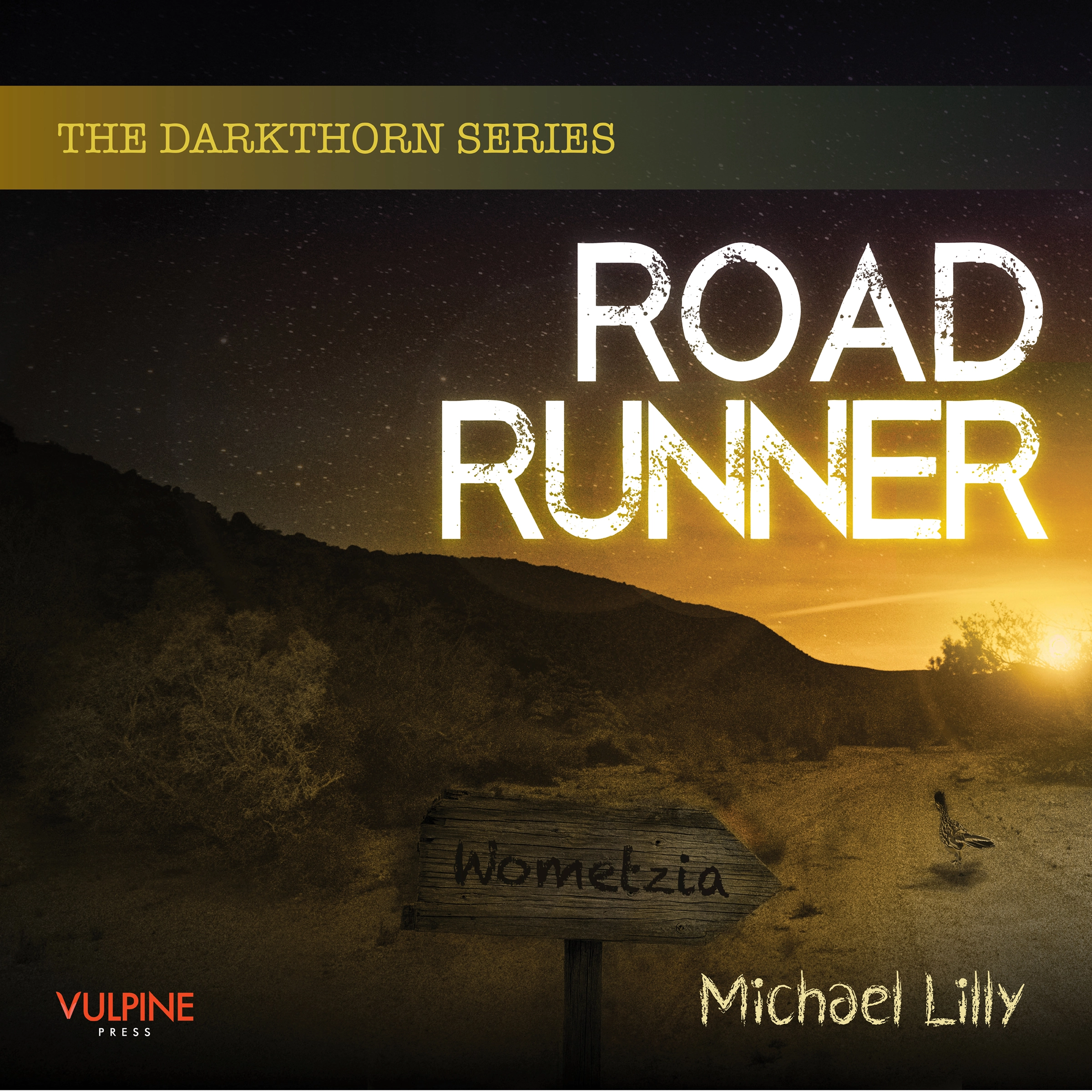 Roadrunner Audiobook by Michael Lilly