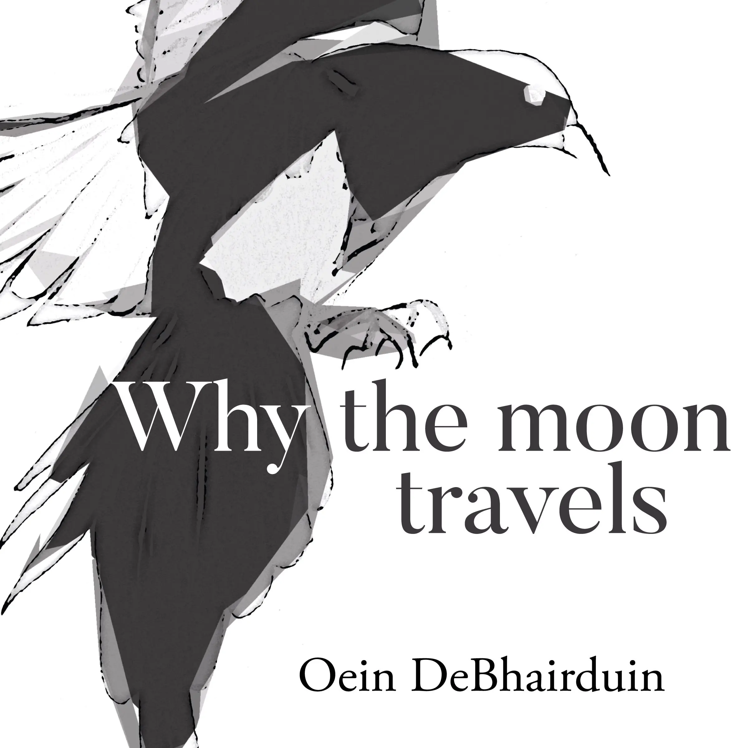 Why the Moon Travels Audiobook by Oein DeBhairduin