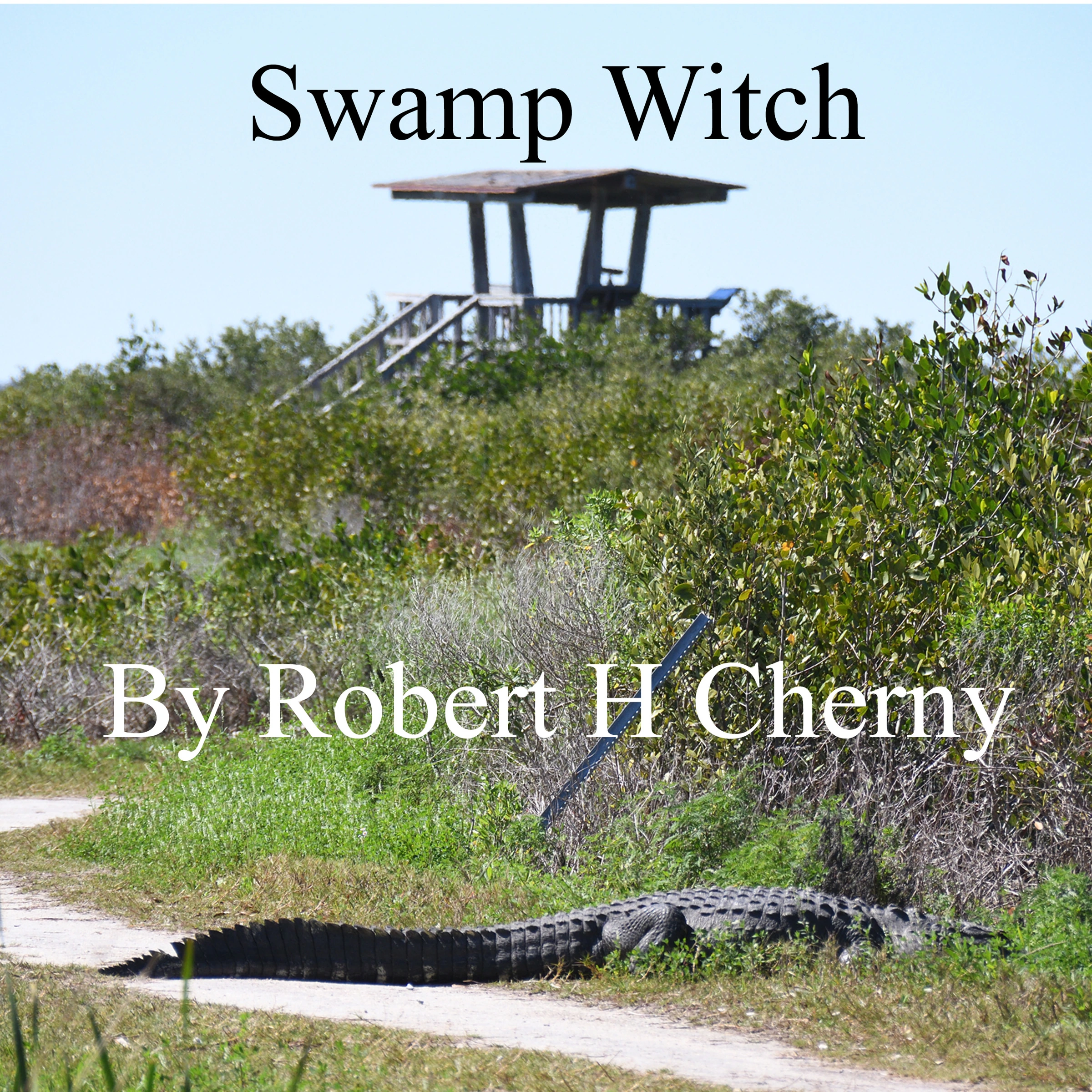 Swamp Witch by Robert H Cherny Audiobook