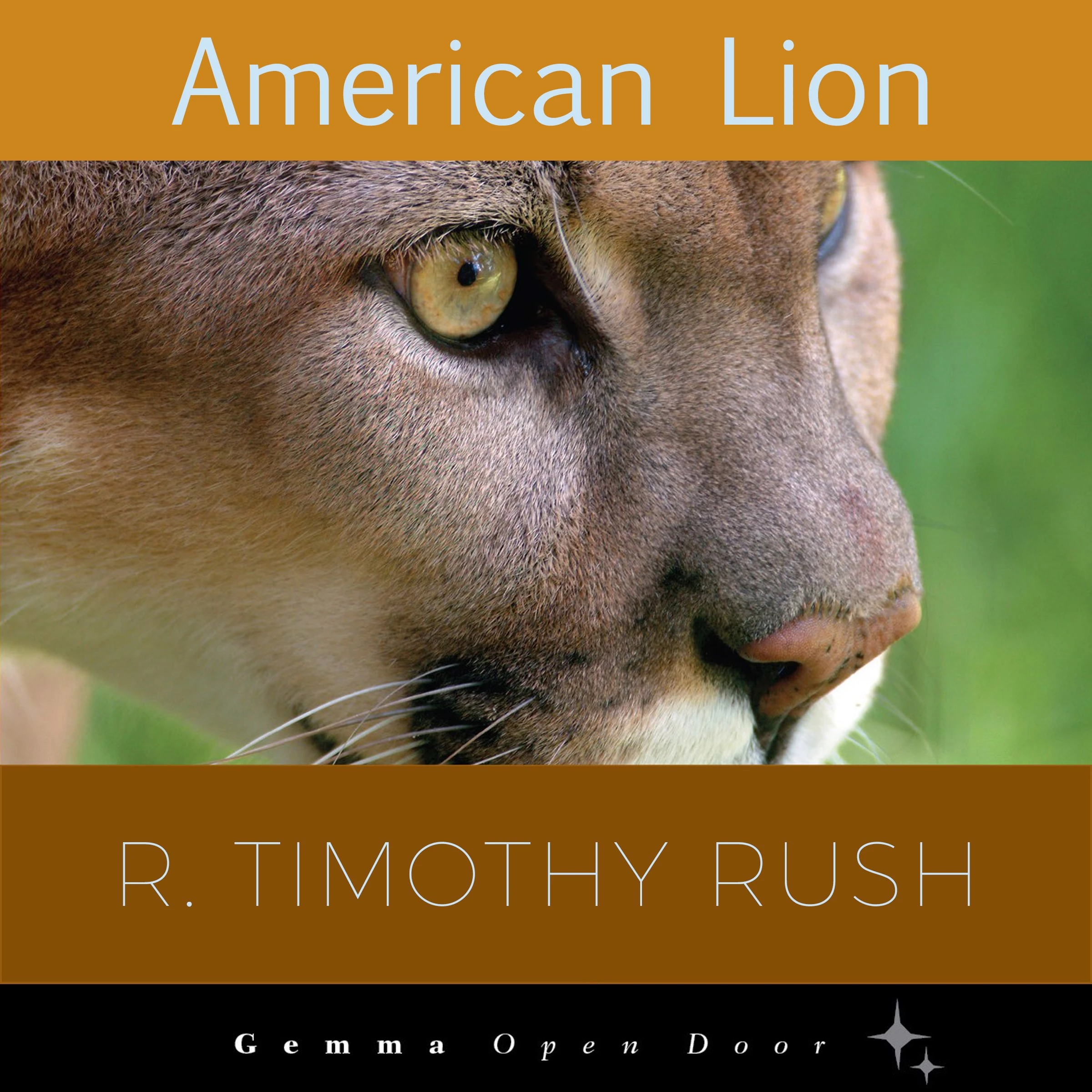 American Lion by R. Timothy Rush Audiobook