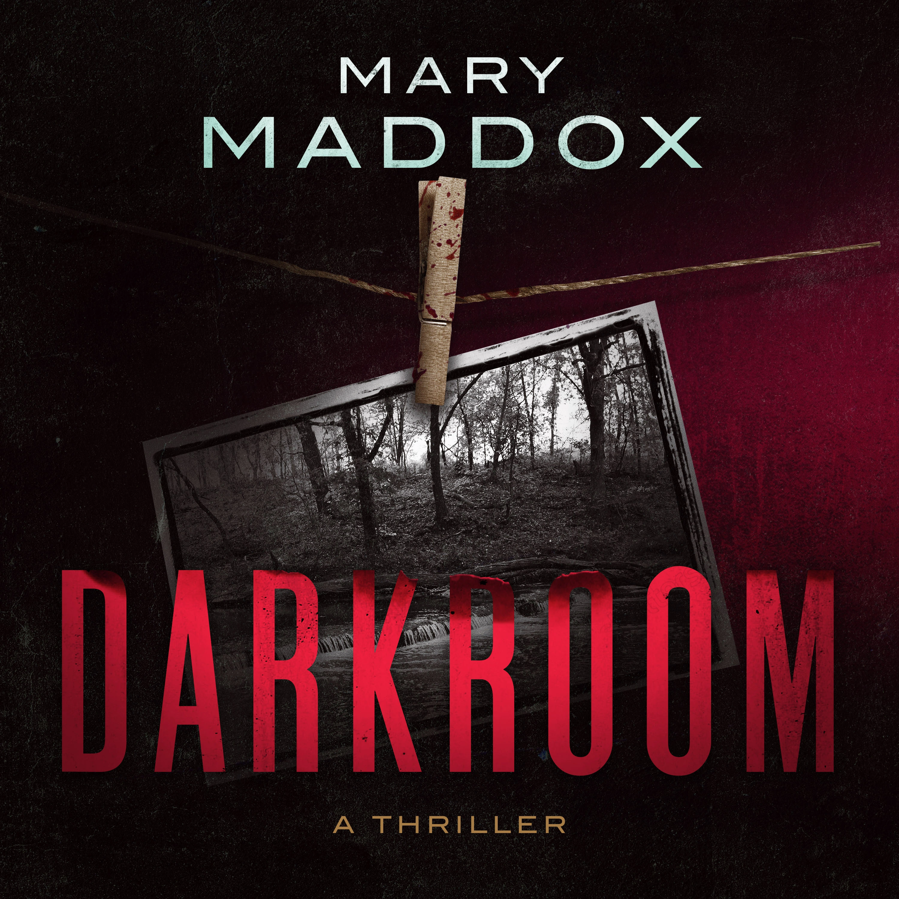 Darkroom Audiobook by Mary Maddox