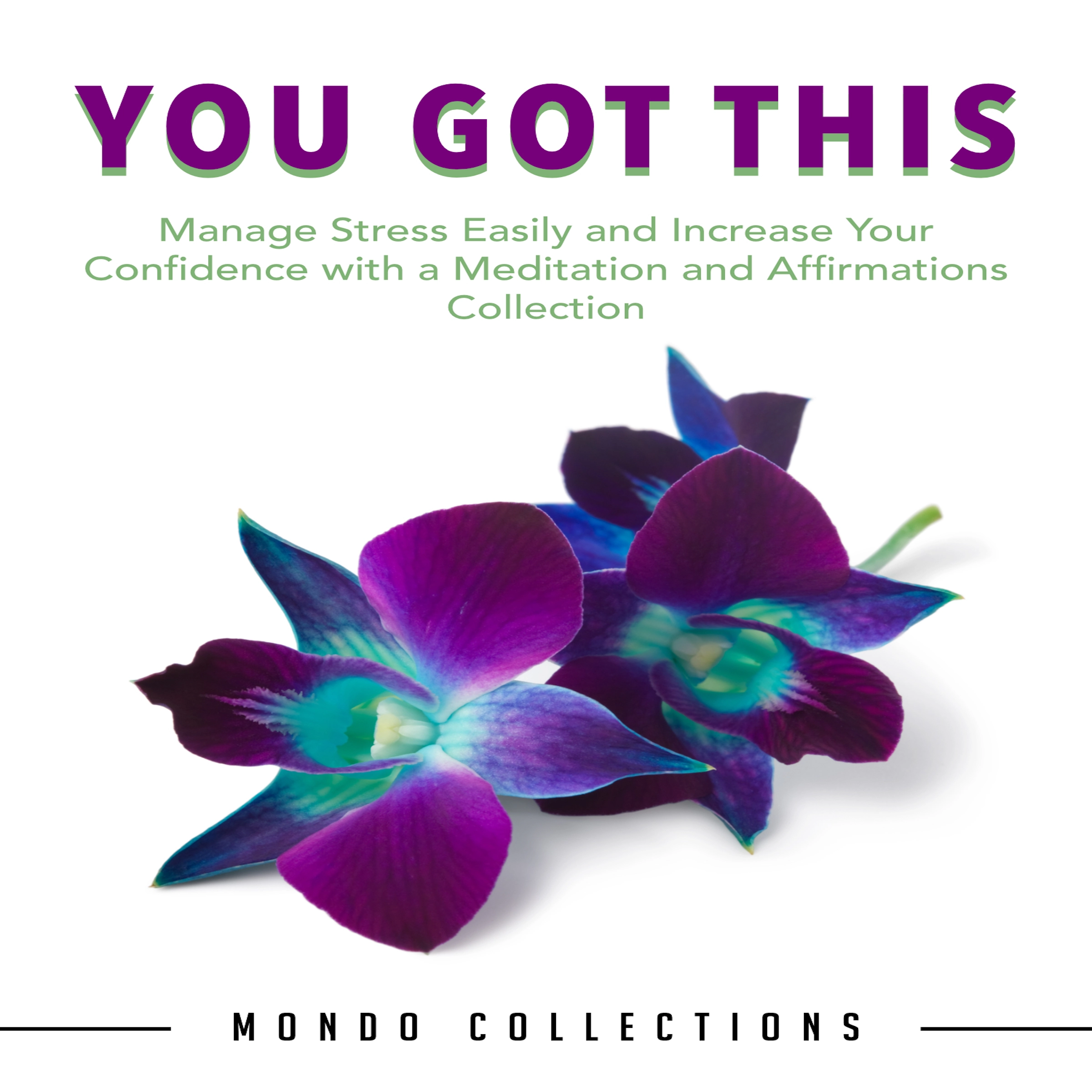 You Got This: Manage Stress Easily and Increase Your Confidence with a Meditation and Affirmations Collection Audiobook by Mondo Collections