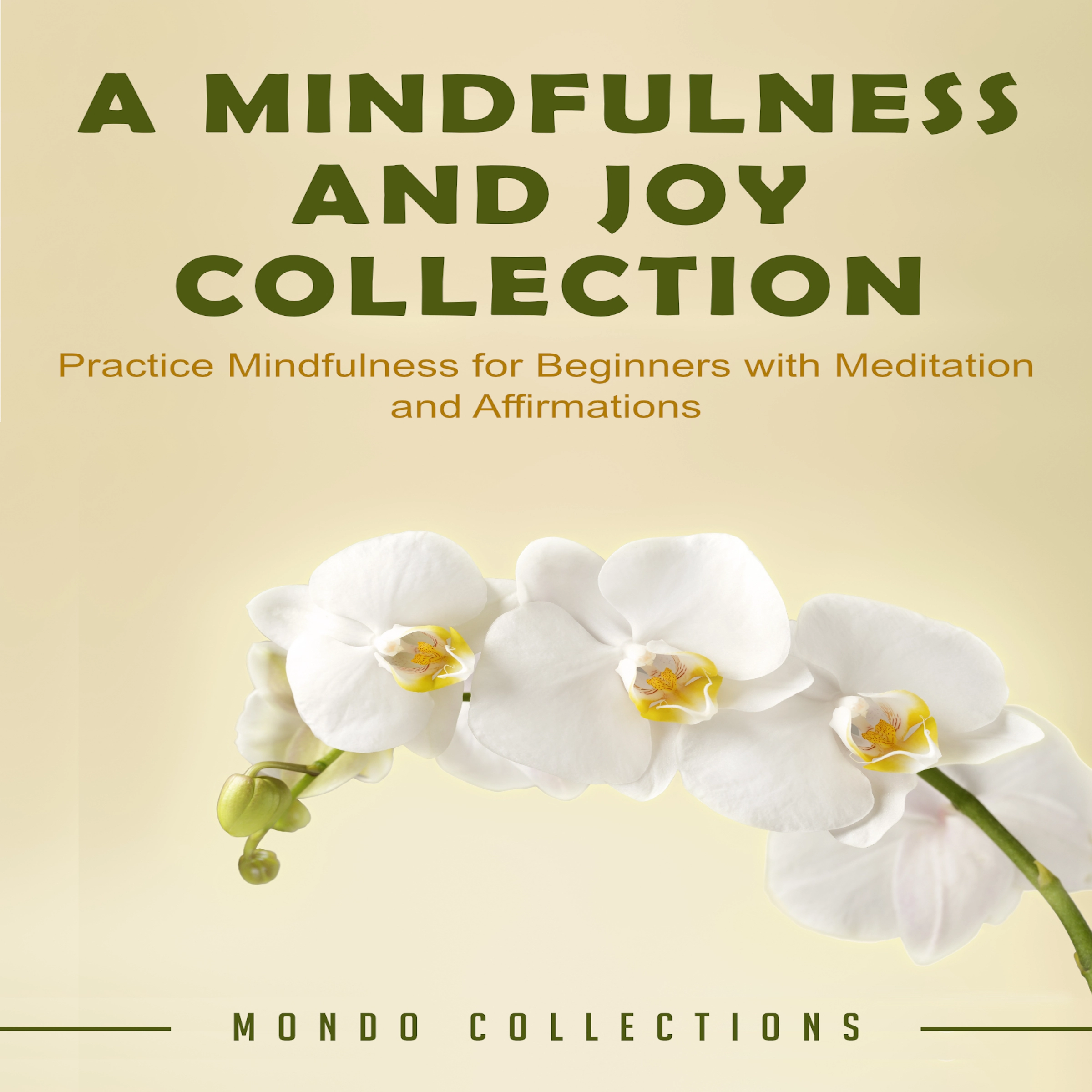 A Mindfulness and Joy Collection: Practice Mindfulness for Beginners with Meditation and Affirmations by Mondo Collections