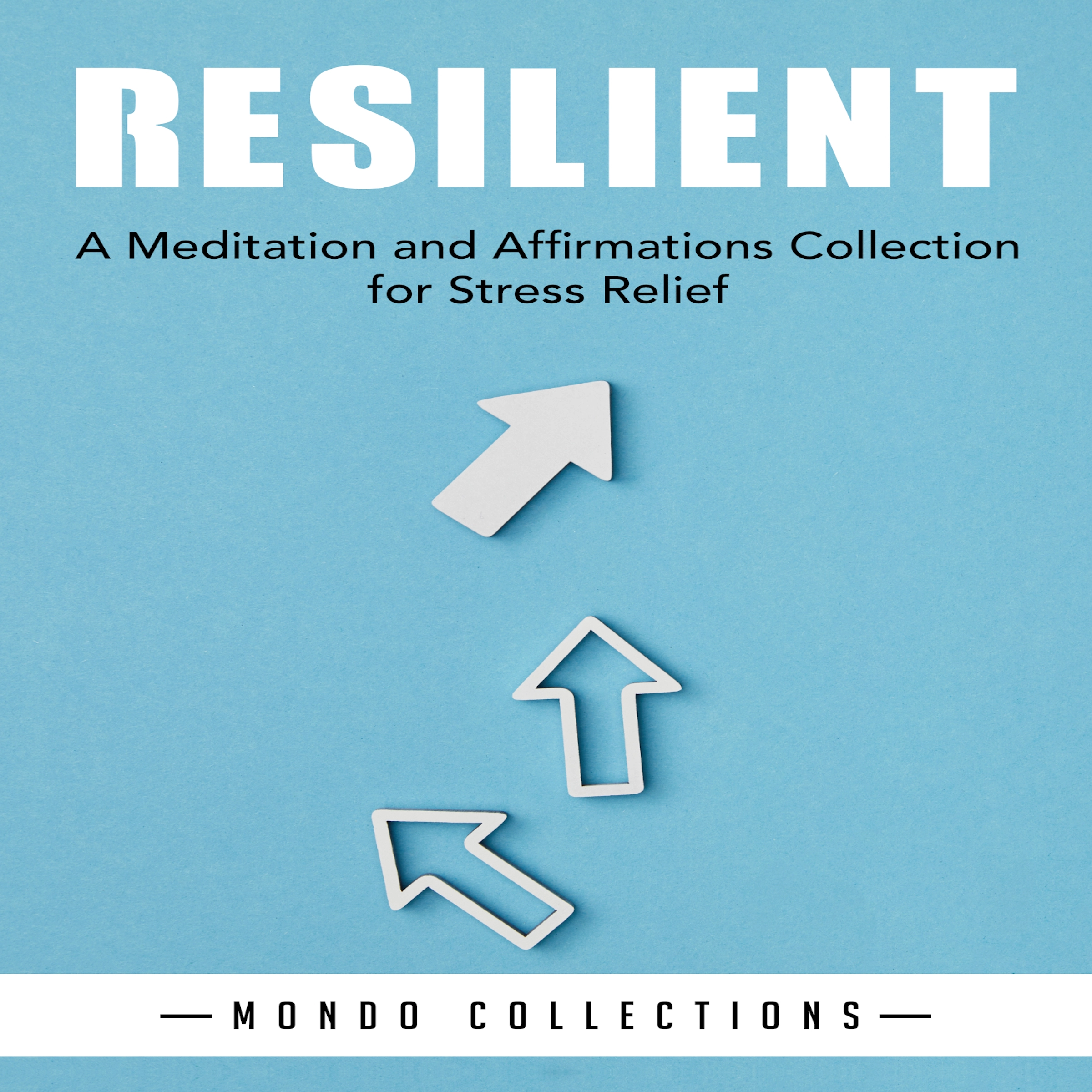 Resilient: A Meditation and Affirmations Collection for Stress Relief by Mondo Collections Audiobook