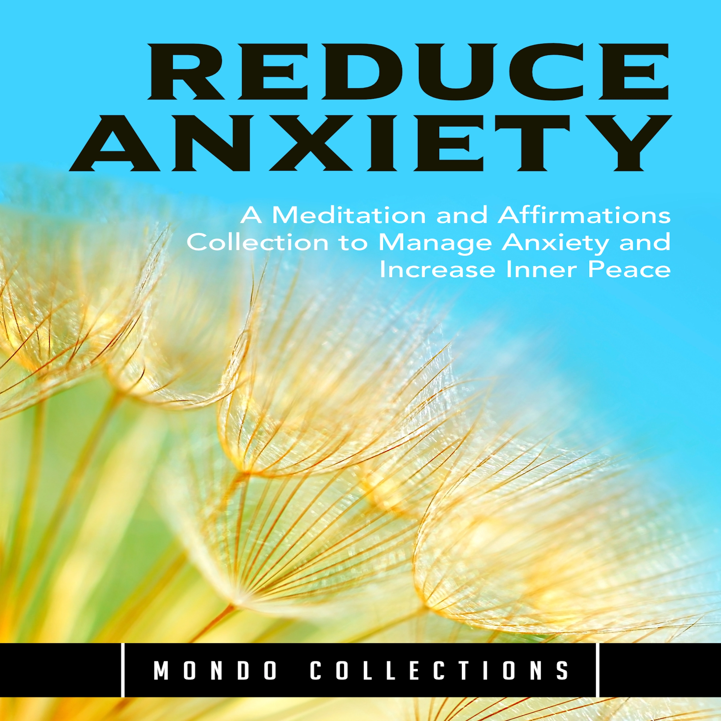 Reduce Anxiety: A Meditation and Affirmations Collection to Manage Anxiety and Increase Inner Peace Audiobook by Mondo Collections