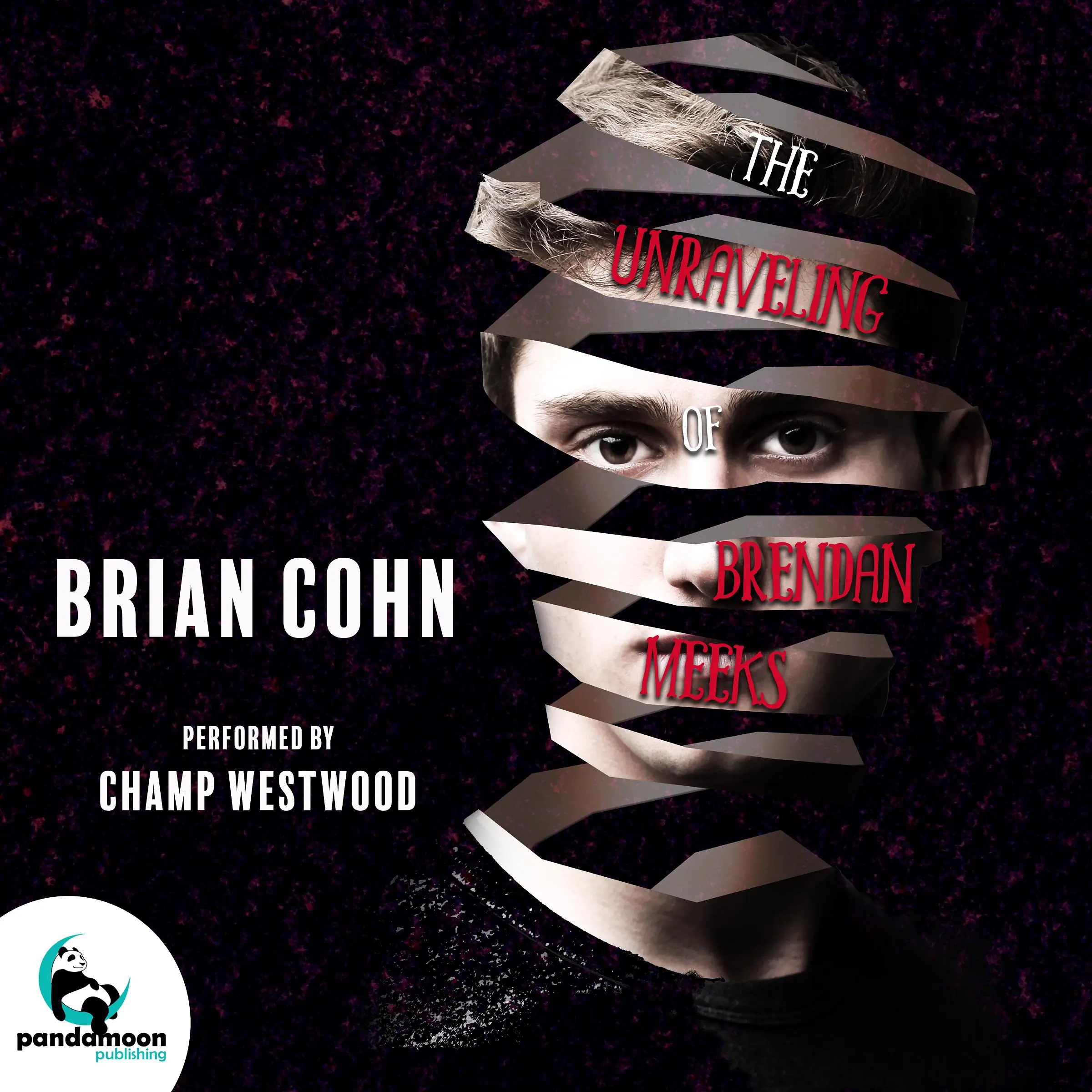 The Unraveling of Brendan Meeks Audiobook by Brian Cohn