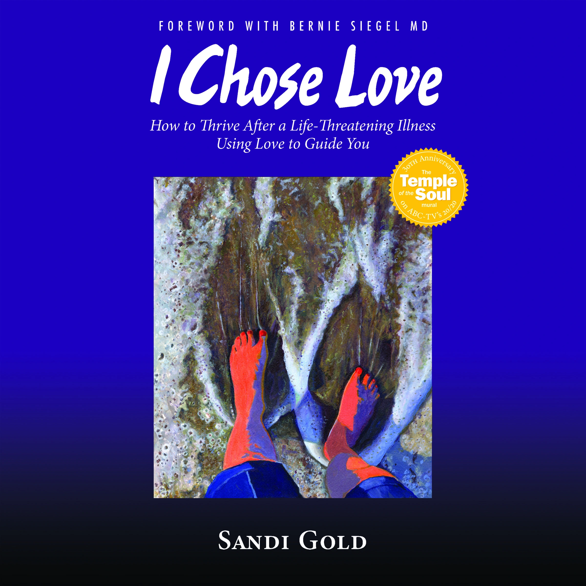 I Chose Love by Sandi Gold Audiobook