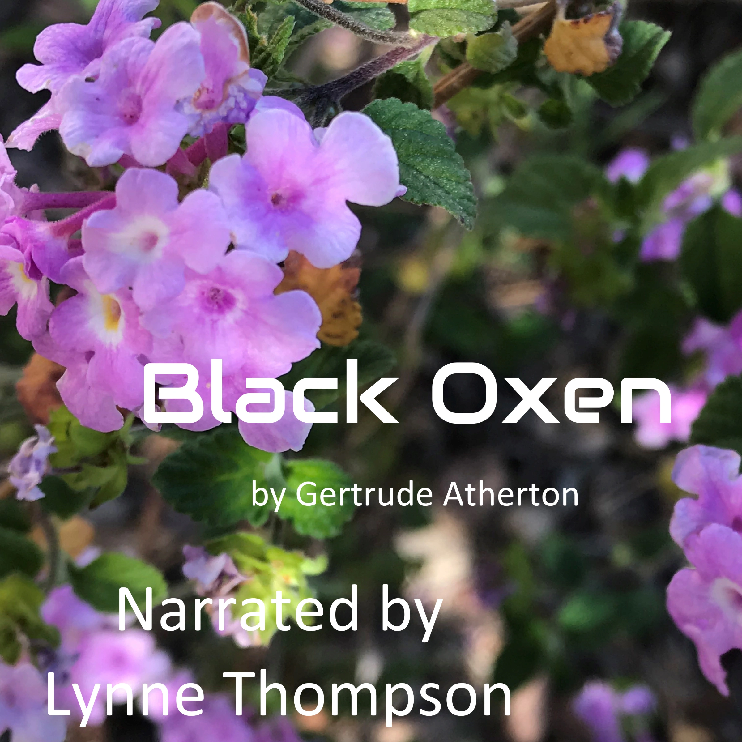 Black Oxen Audiobook by Gertrude Atherton