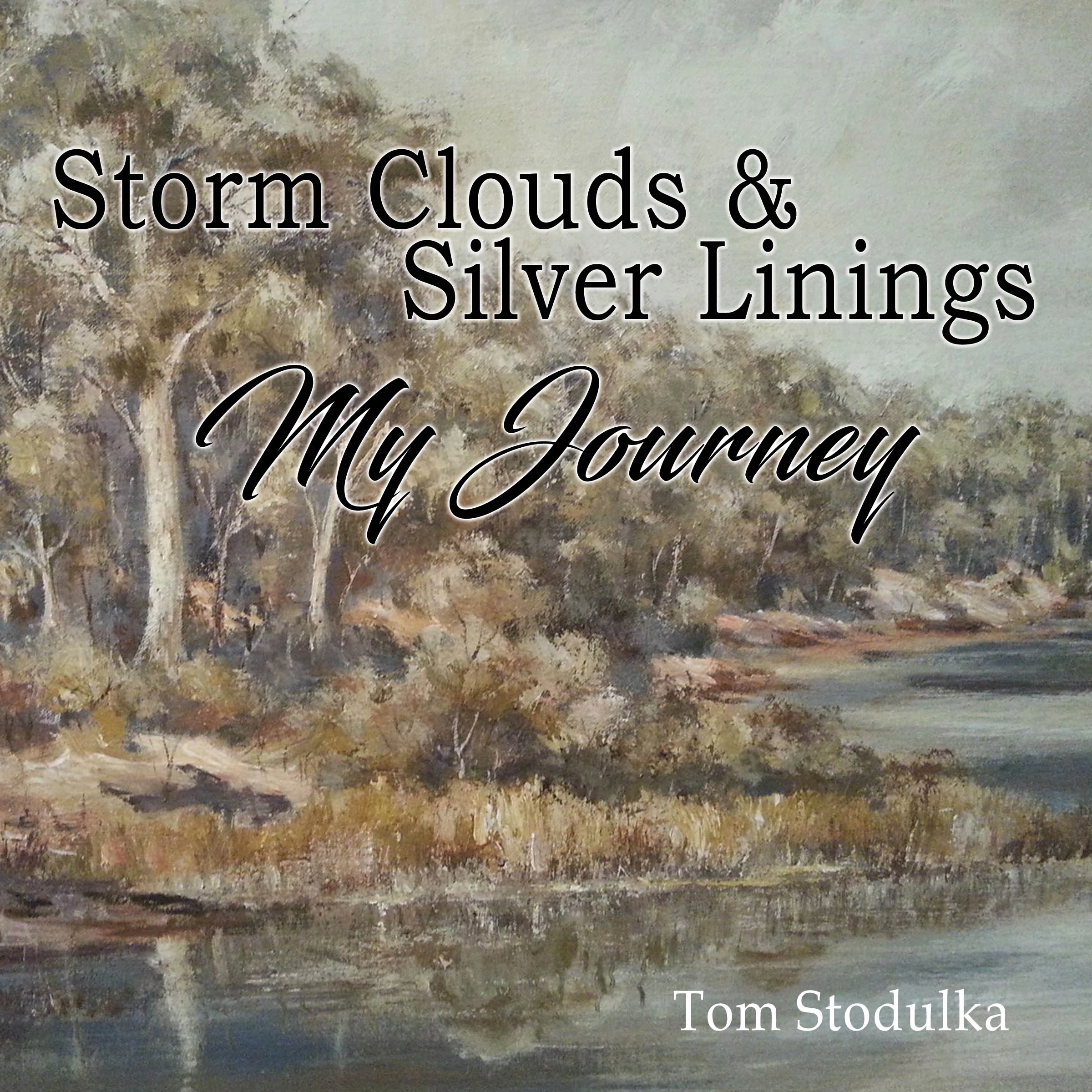Storm Clouds & Silver Linings: My Journey Audiobook by Tom Stodulka